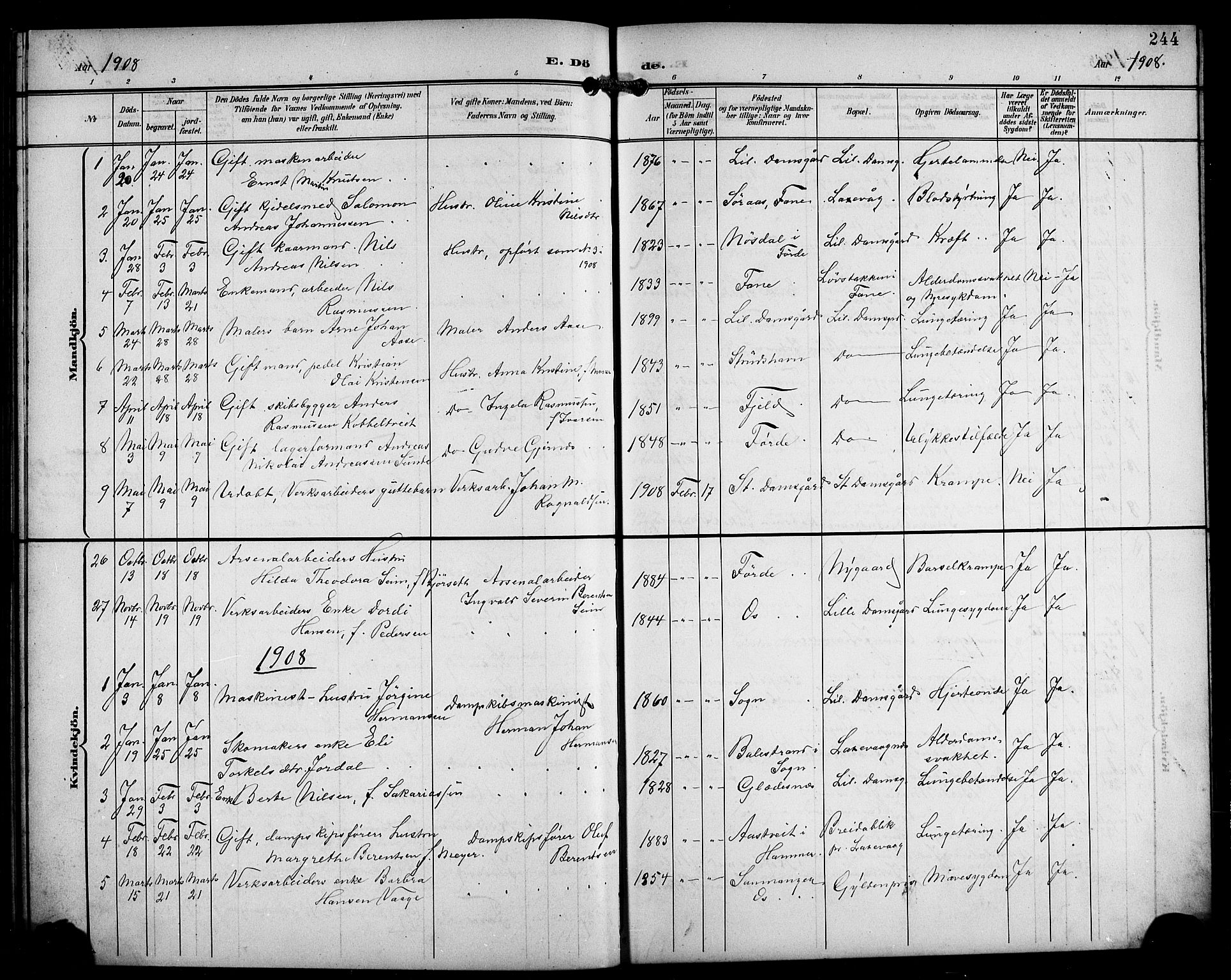 Laksevåg Sokneprestembete, SAB/A-76501/H/Ha/Hab/Haba/L0004: Parish register (copy) no. A 4, 1899-1909, p. 244