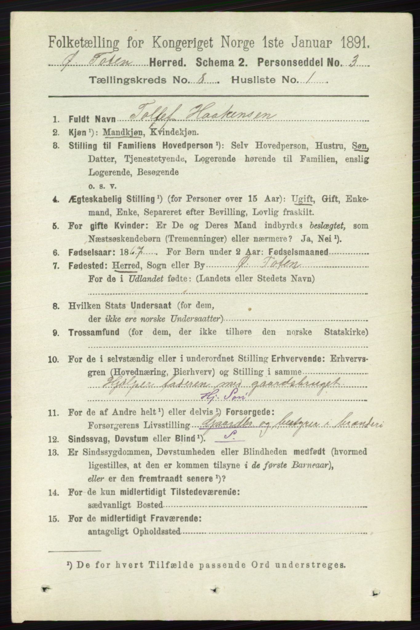 RA, 1891 census for 0528 Østre Toten, 1891, p. 5016