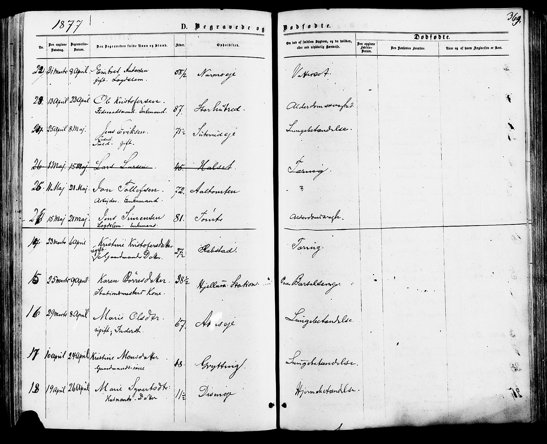 Vang prestekontor, Hedmark, SAH/PREST-008/H/Ha/Haa/L0015: Parish register (official) no. 15, 1871-1885, p. 369