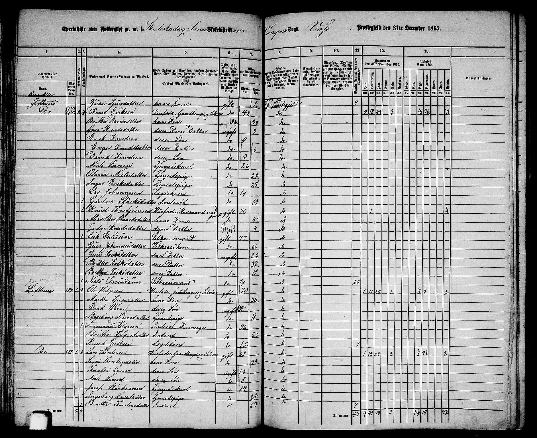 RA, 1865 census for Voss, 1865, p. 89