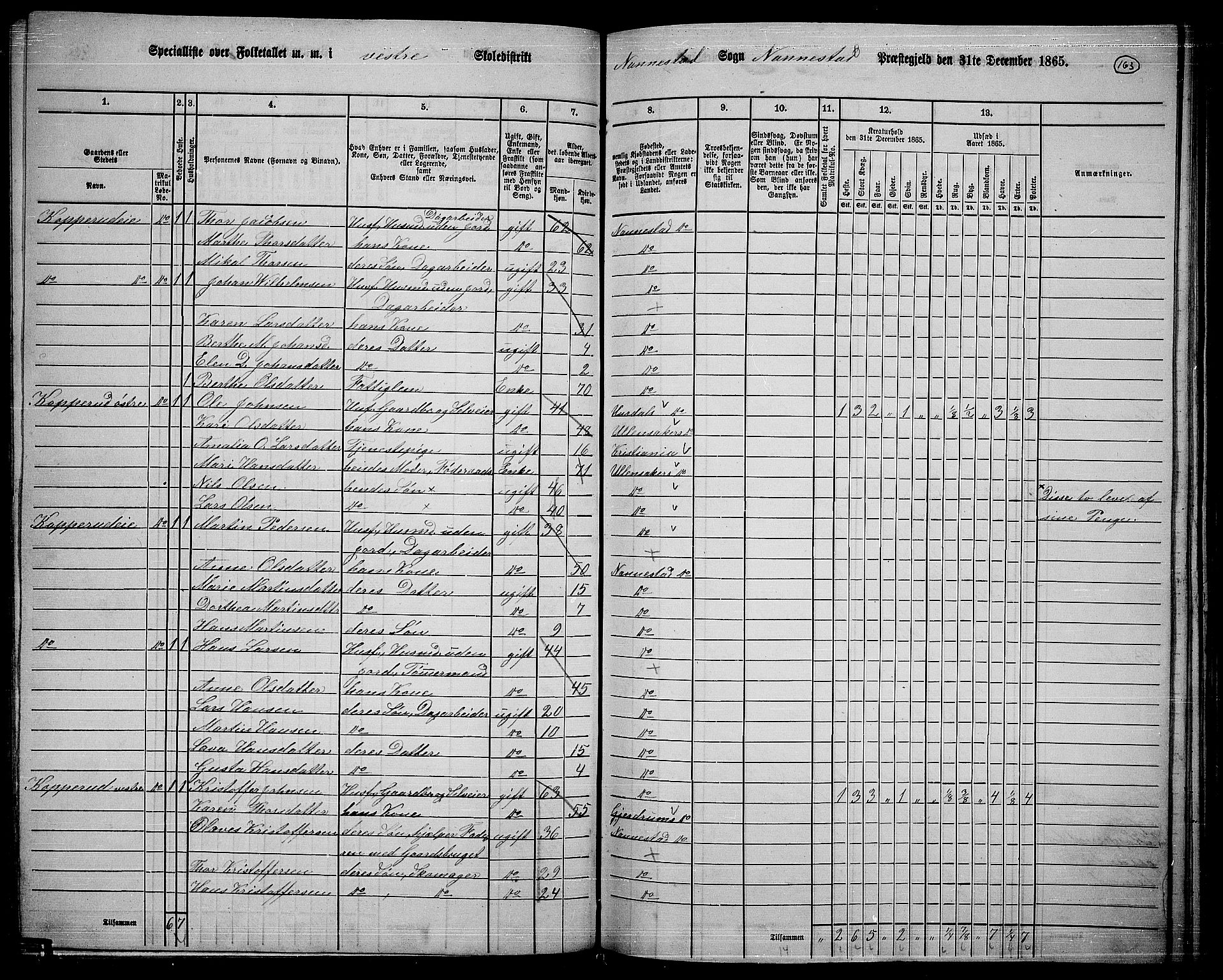 RA, 1865 census for Nannestad, 1865, p. 46