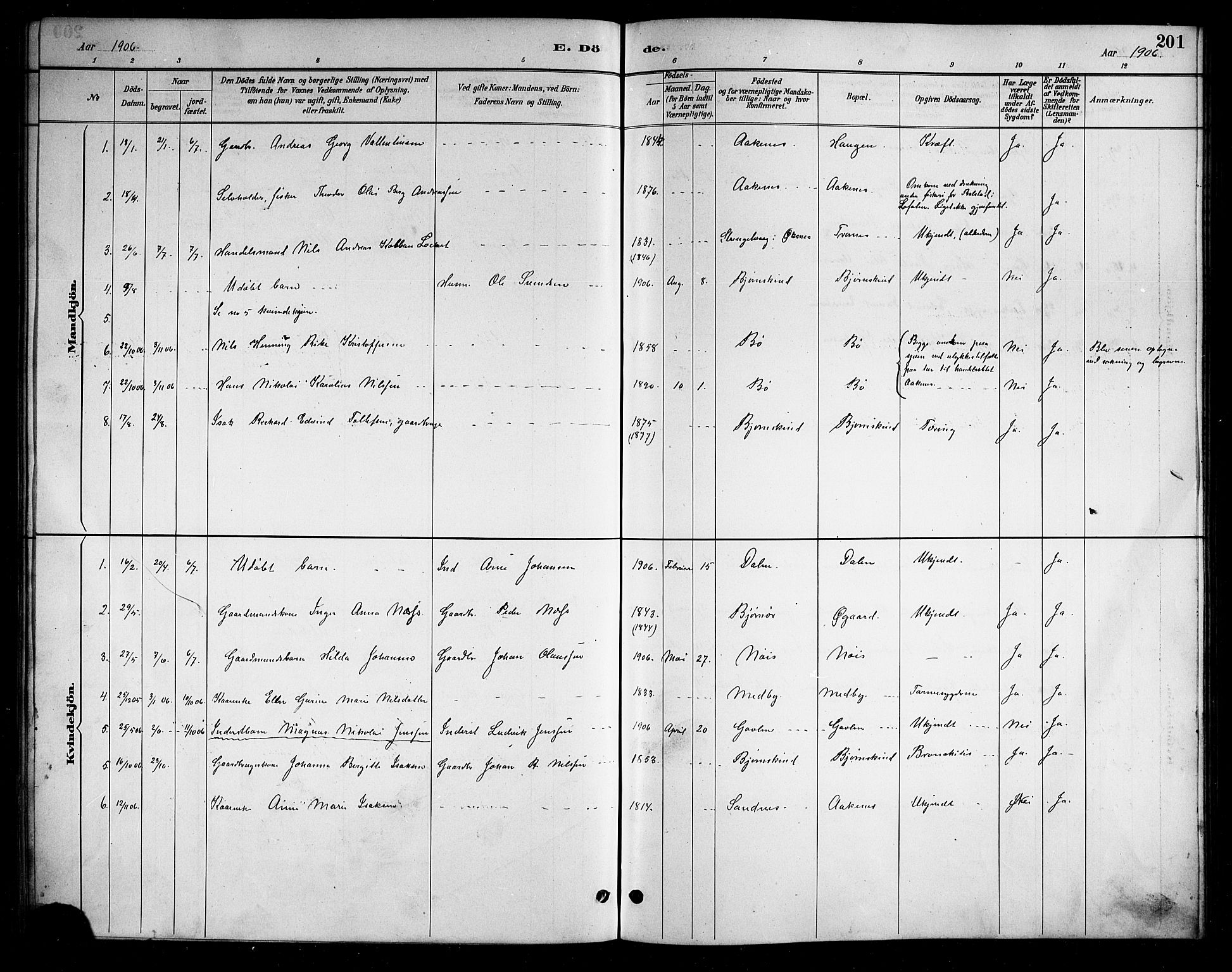 Ministerialprotokoller, klokkerbøker og fødselsregistre - Nordland, AV/SAT-A-1459/898/L1427: Parish register (copy) no. 898C02, 1887-1917, p. 201