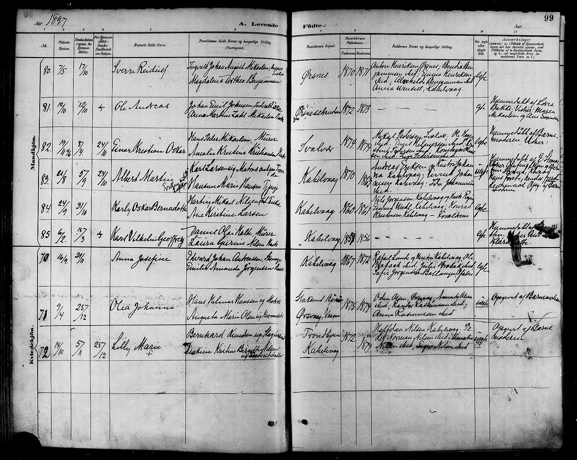 Ministerialprotokoller, klokkerbøker og fødselsregistre - Nordland, AV/SAT-A-1459/874/L1060: Parish register (official) no. 874A04, 1890-1899, p. 99