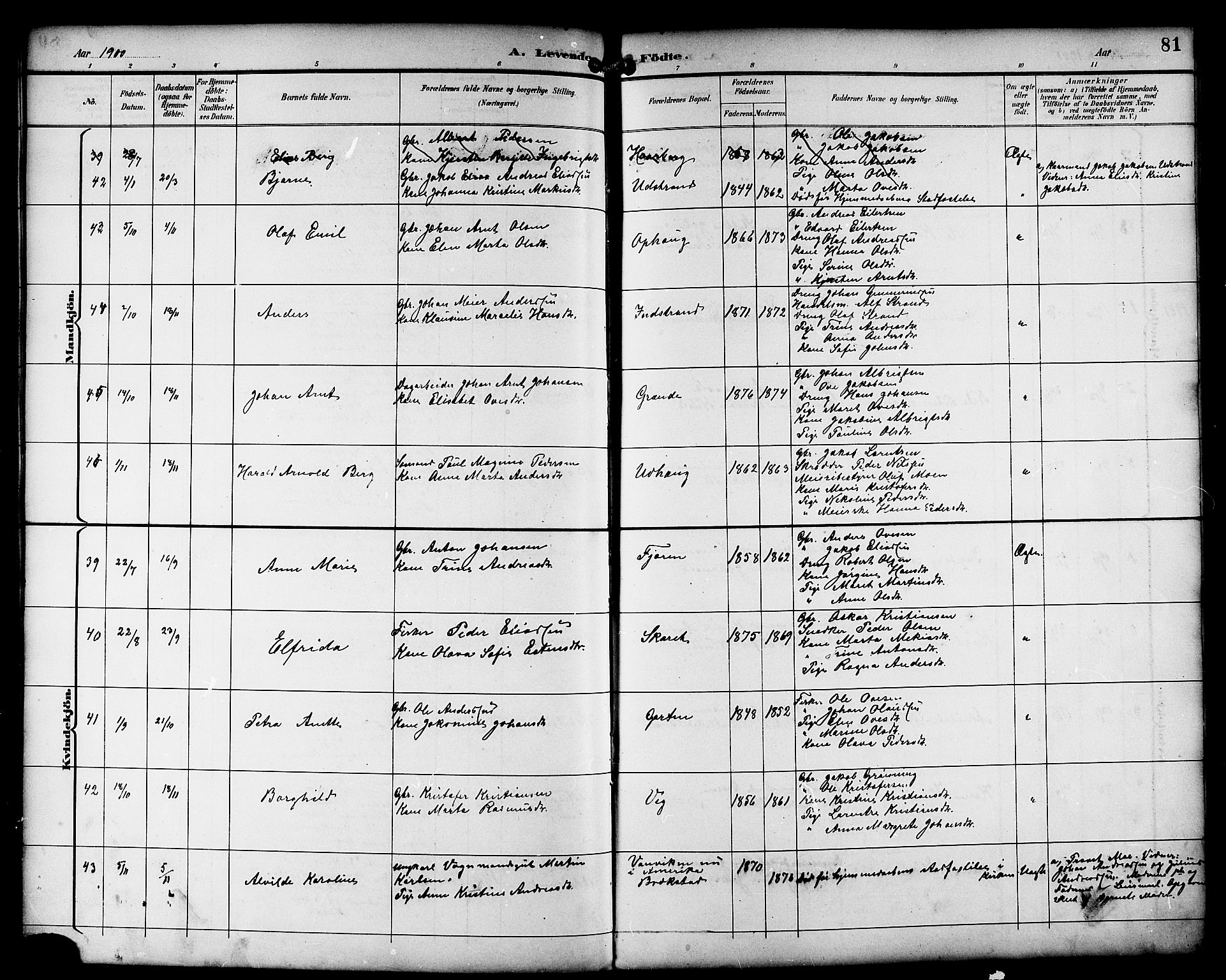 Ministerialprotokoller, klokkerbøker og fødselsregistre - Sør-Trøndelag, SAT/A-1456/659/L0746: Parish register (copy) no. 659C03, 1893-1912, p. 81