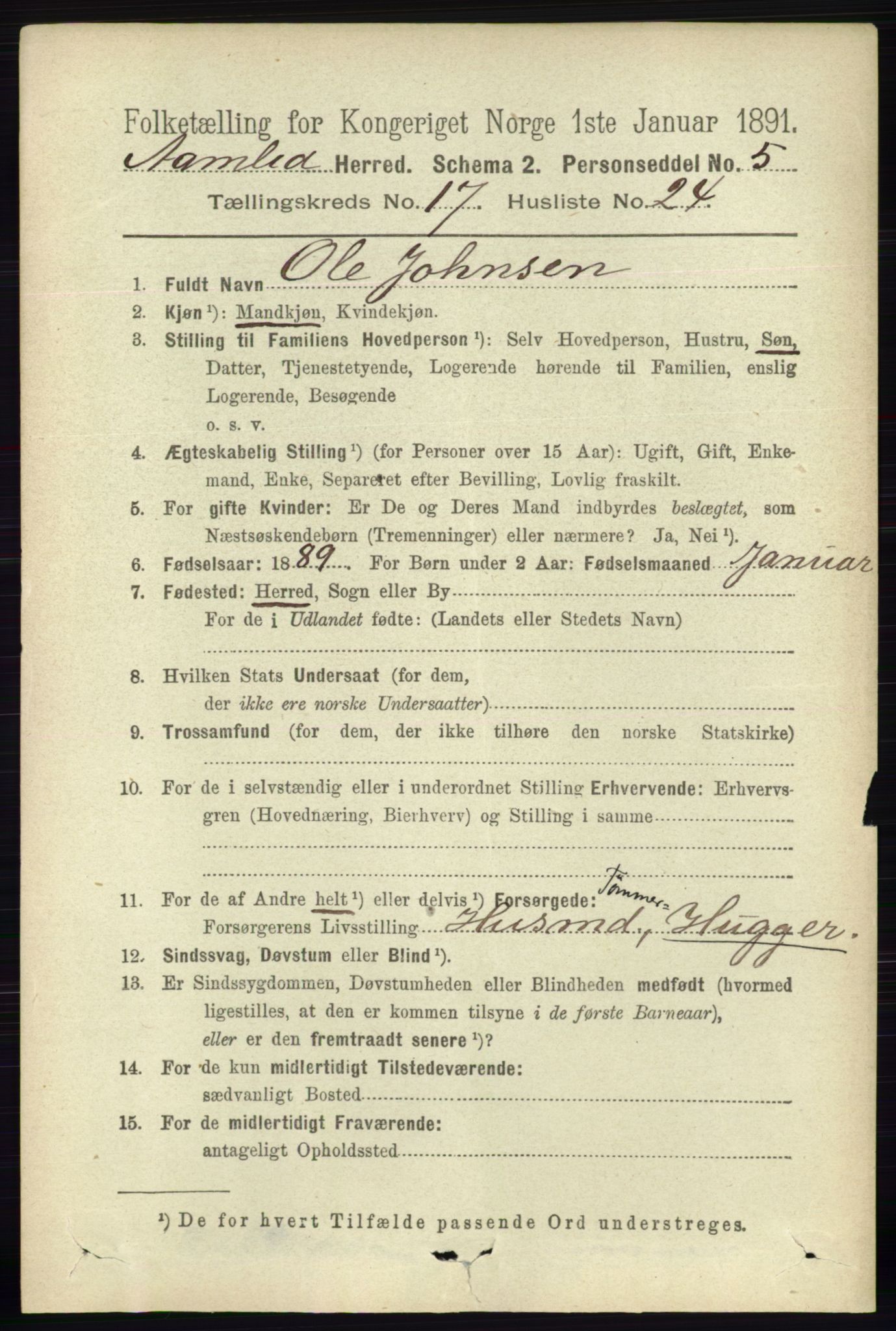 RA, 1891 census for 0929 Åmli, 1891, p. 2980