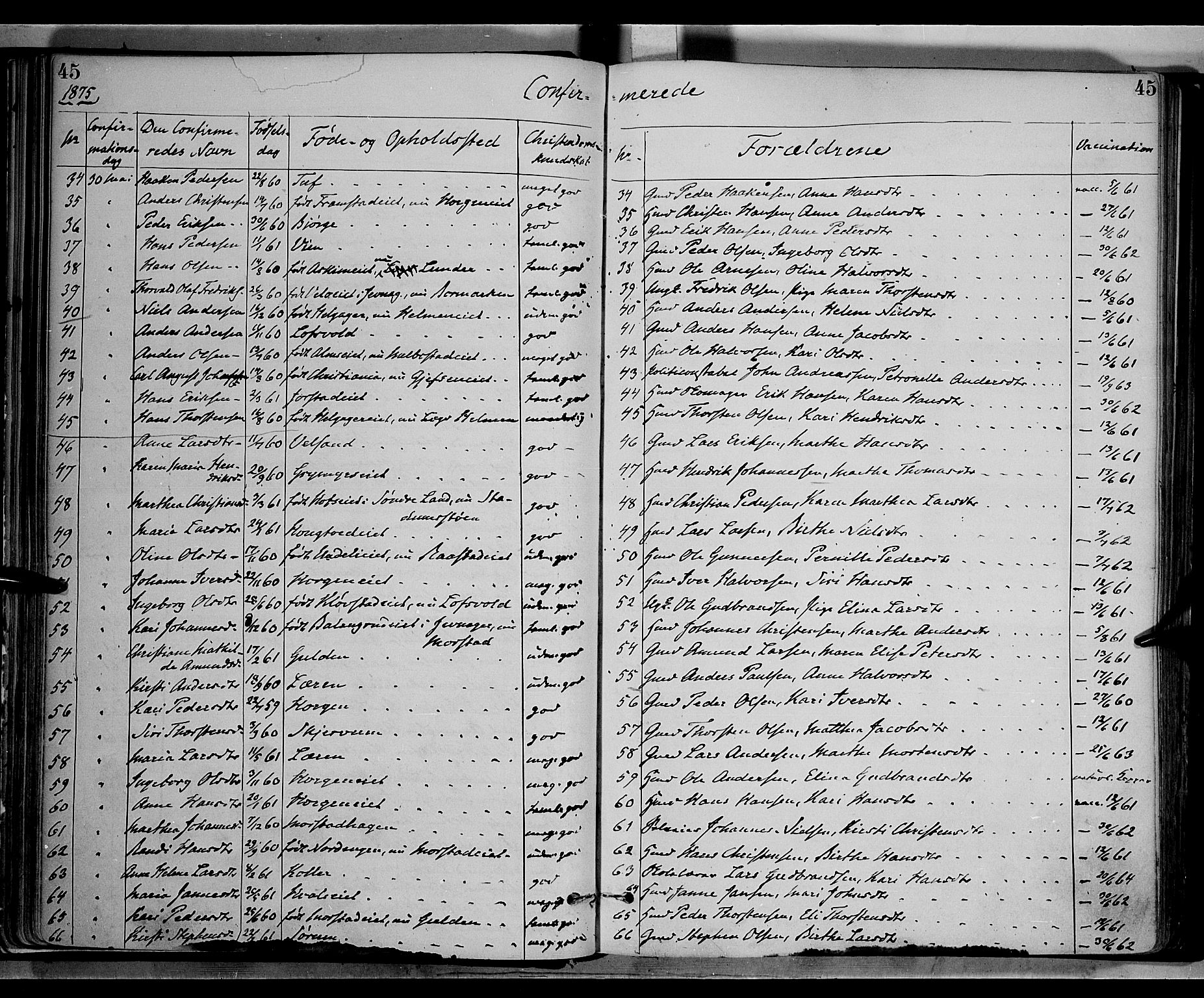 Gran prestekontor, SAH/PREST-112/H/Ha/Haa/L0013: Parish register (official) no. 13, 1875-1879, p. 45