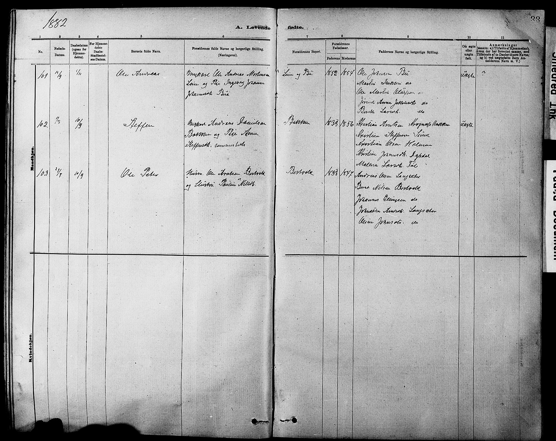 Ministerialprotokoller, klokkerbøker og fødselsregistre - Sør-Trøndelag, AV/SAT-A-1456/647/L0636: Parish register (copy) no. 647C01, 1881-1884, p. 33