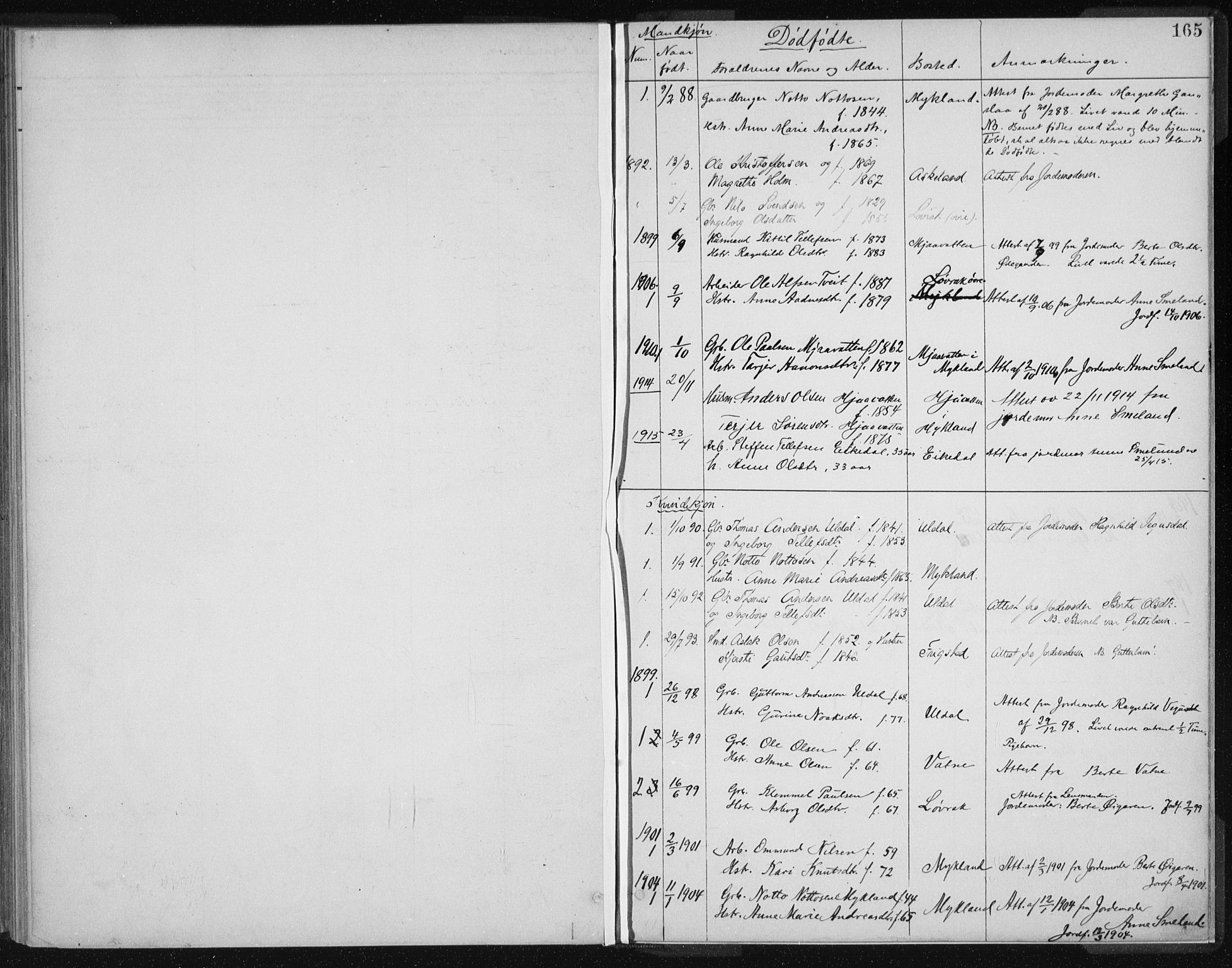 Herefoss sokneprestkontor, SAK/1111-0019/F/Fa/Fac/L0002: Parish register (official) no. A 2, 1887-1915, p. 165