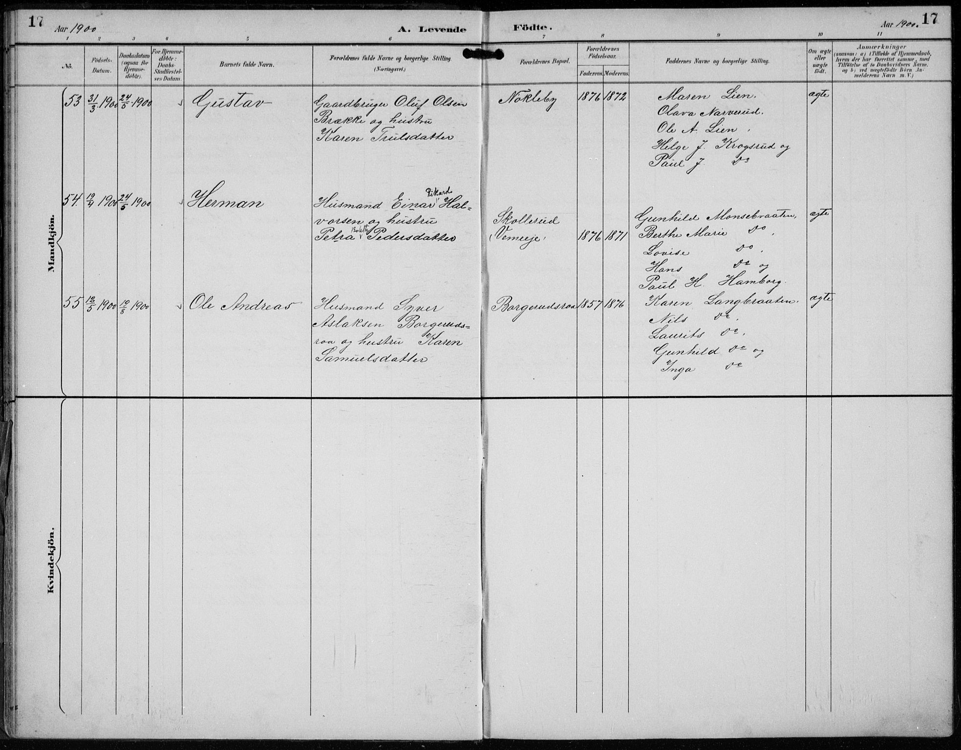 Lunder kirkebøker, AV/SAKO-A-629/F/Fb/L0001: Parish register (official) no. II 1, 1893-1916, p. 17