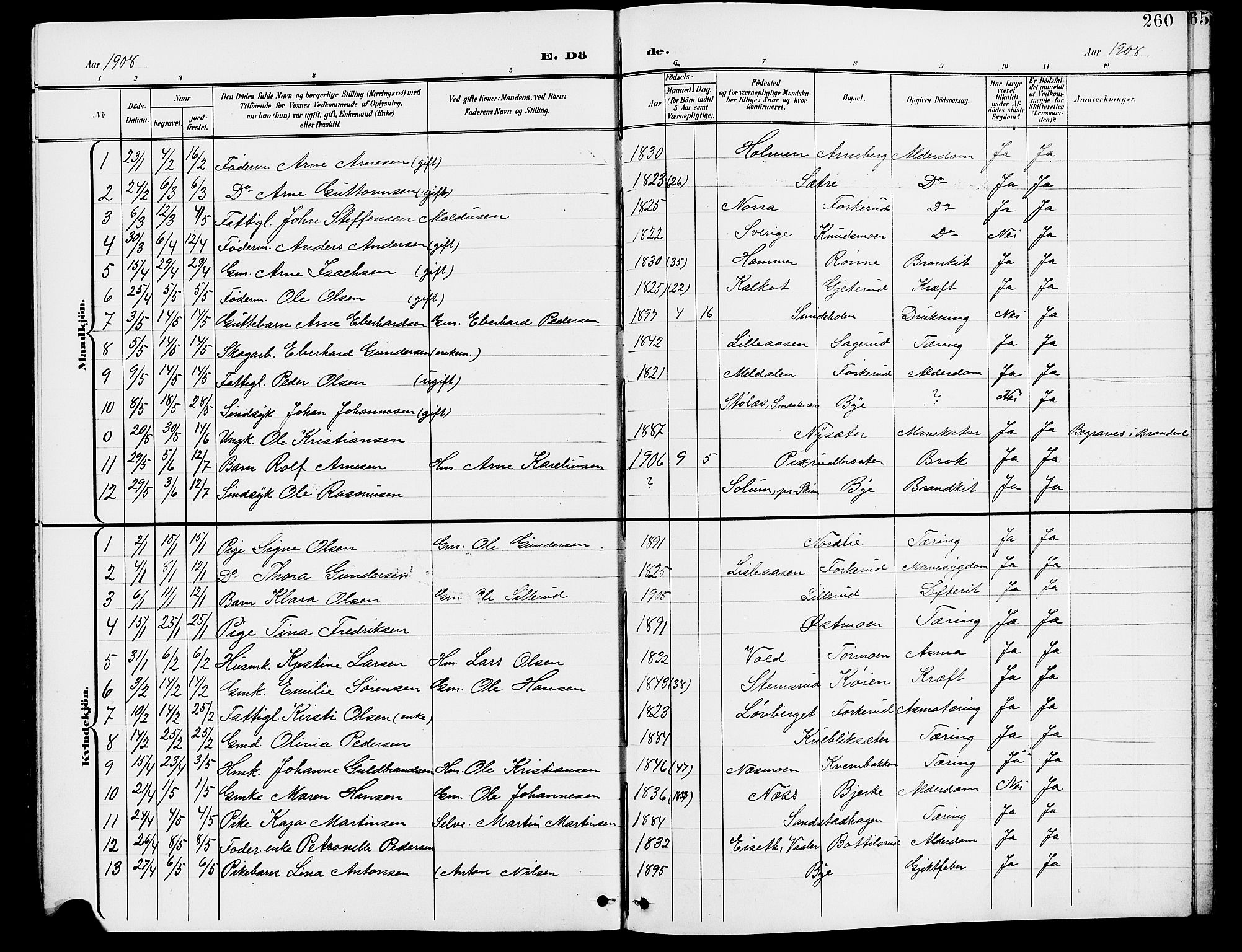 Grue prestekontor, AV/SAH-PREST-036/H/Ha/Hab/L0005: Parish register (copy) no. 5, 1900-1909, p. 260