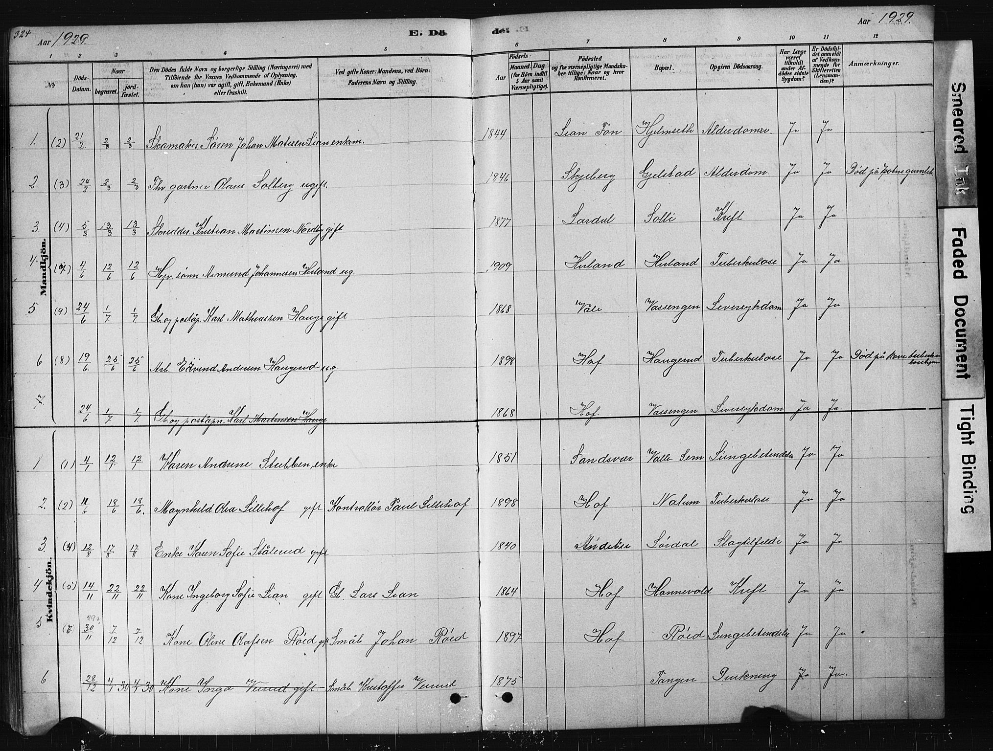 Hof kirkebøker, AV/SAKO-A-64/G/Ga/L0004: Parish register (copy) no. I 4, 1878-1930, p. 324