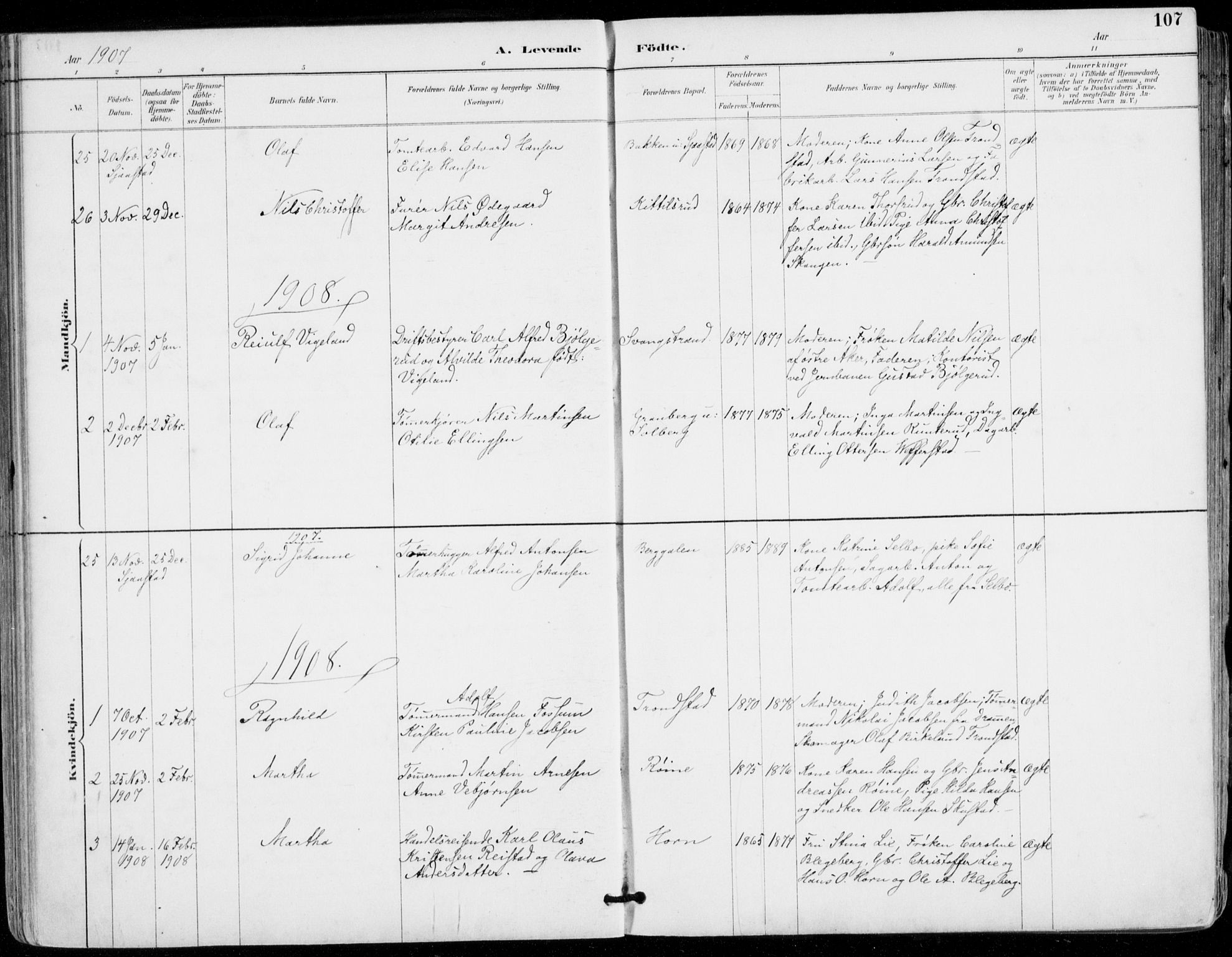 Sylling kirkebøker, SAKO/A-247/F/Fa/L0001: Parish register (official) no. 1, 1883-1910, p. 107