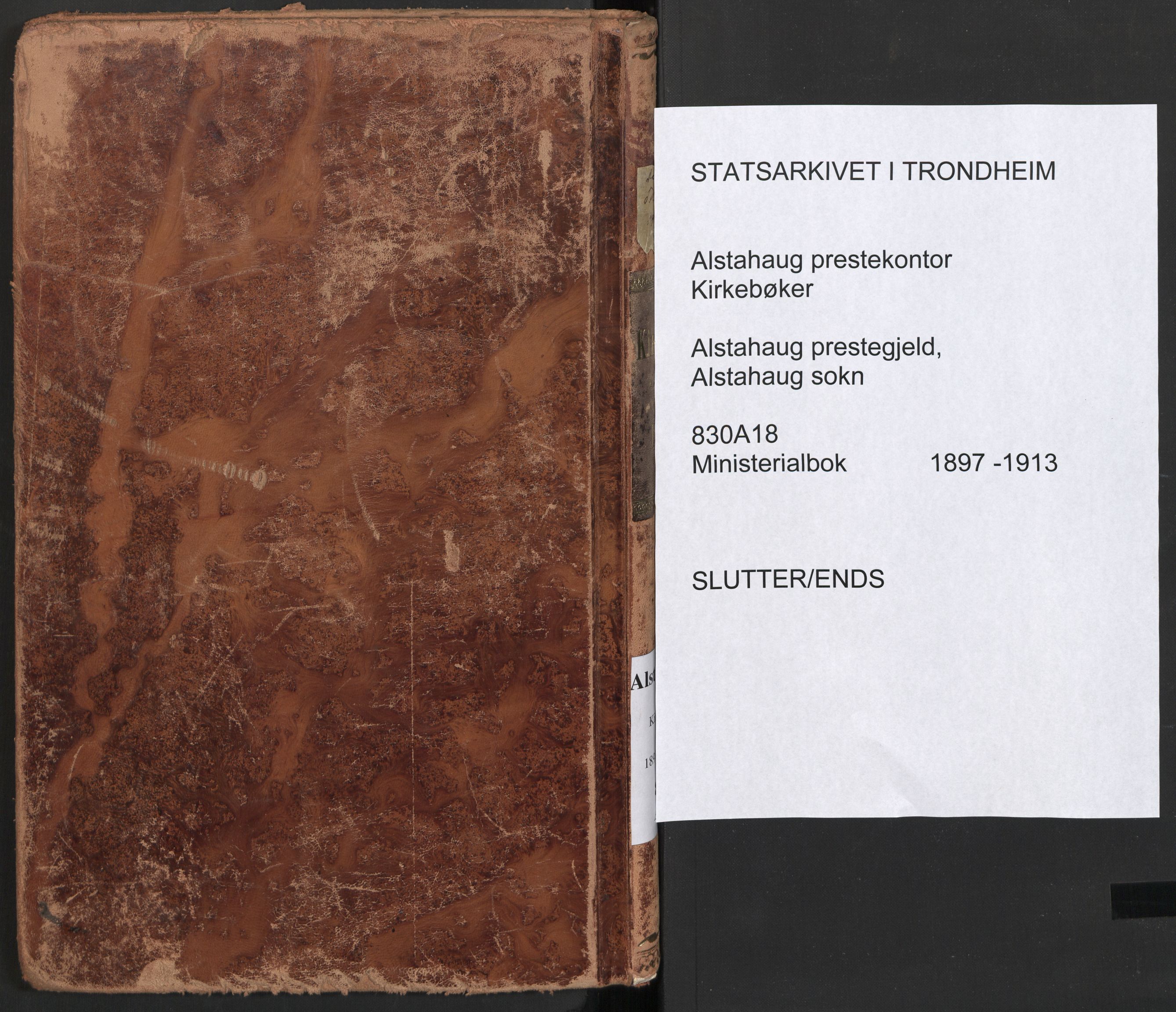 Ministerialprotokoller, klokkerbøker og fødselsregistre - Nordland, SAT/A-1459/830/L0455: Parish register (official) no. 830A19, 1912-1942