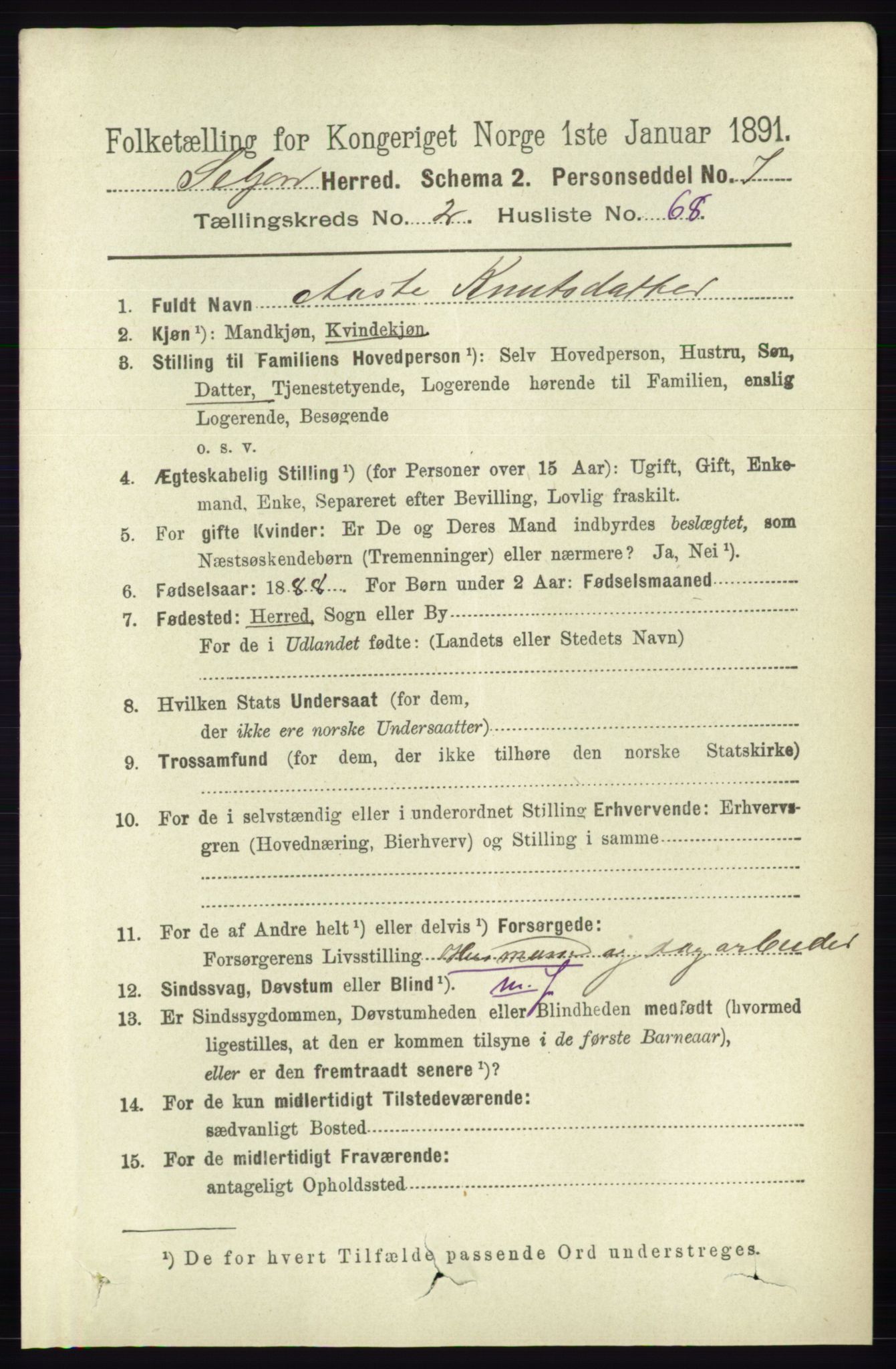 RA, 1891 census for 0828 Seljord, 1891, p. 931