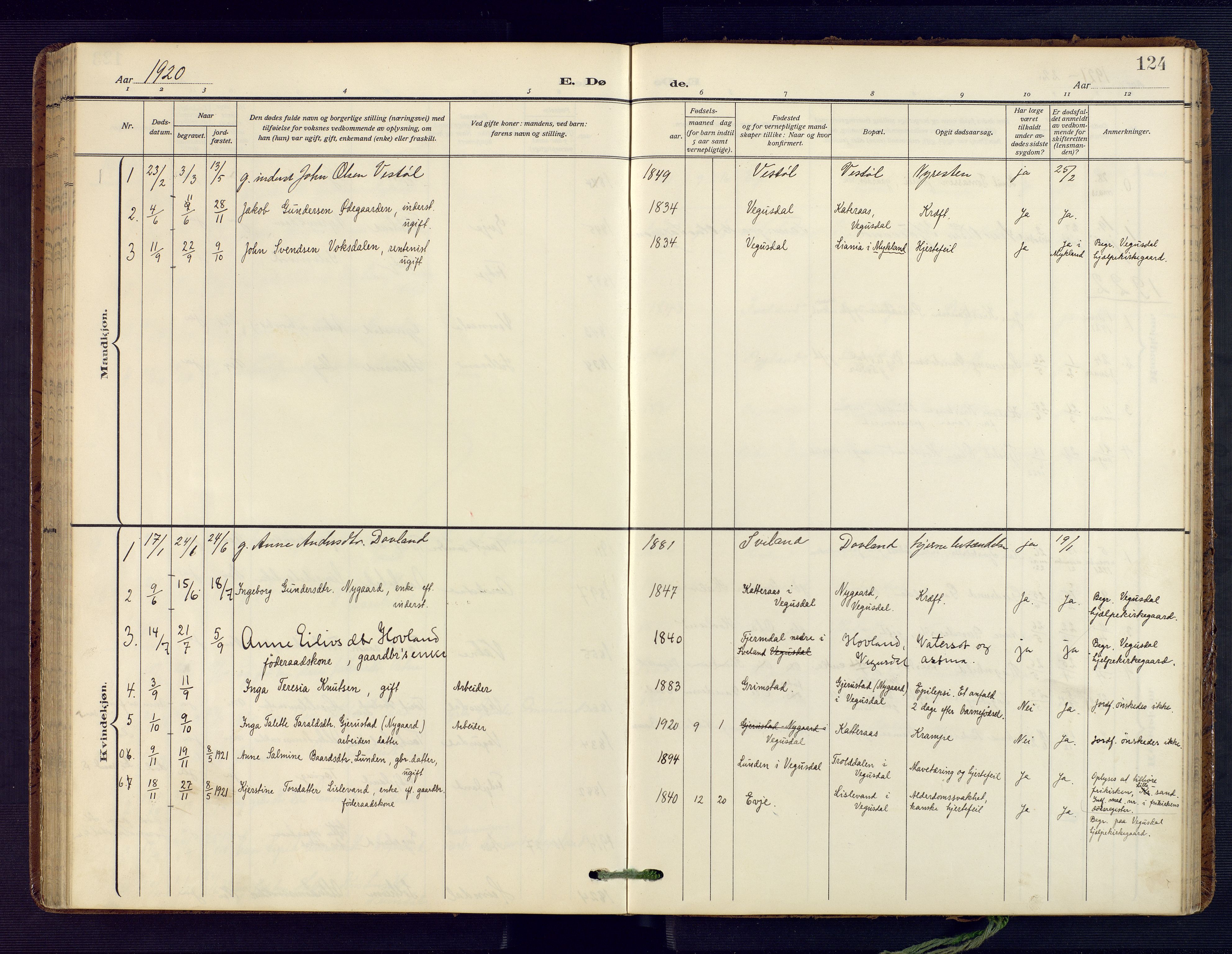 Herefoss sokneprestkontor, SAK/1111-0019/F/Fa/Fab/L0005: Parish register (official) no. A 5, 1910-1932, p. 124