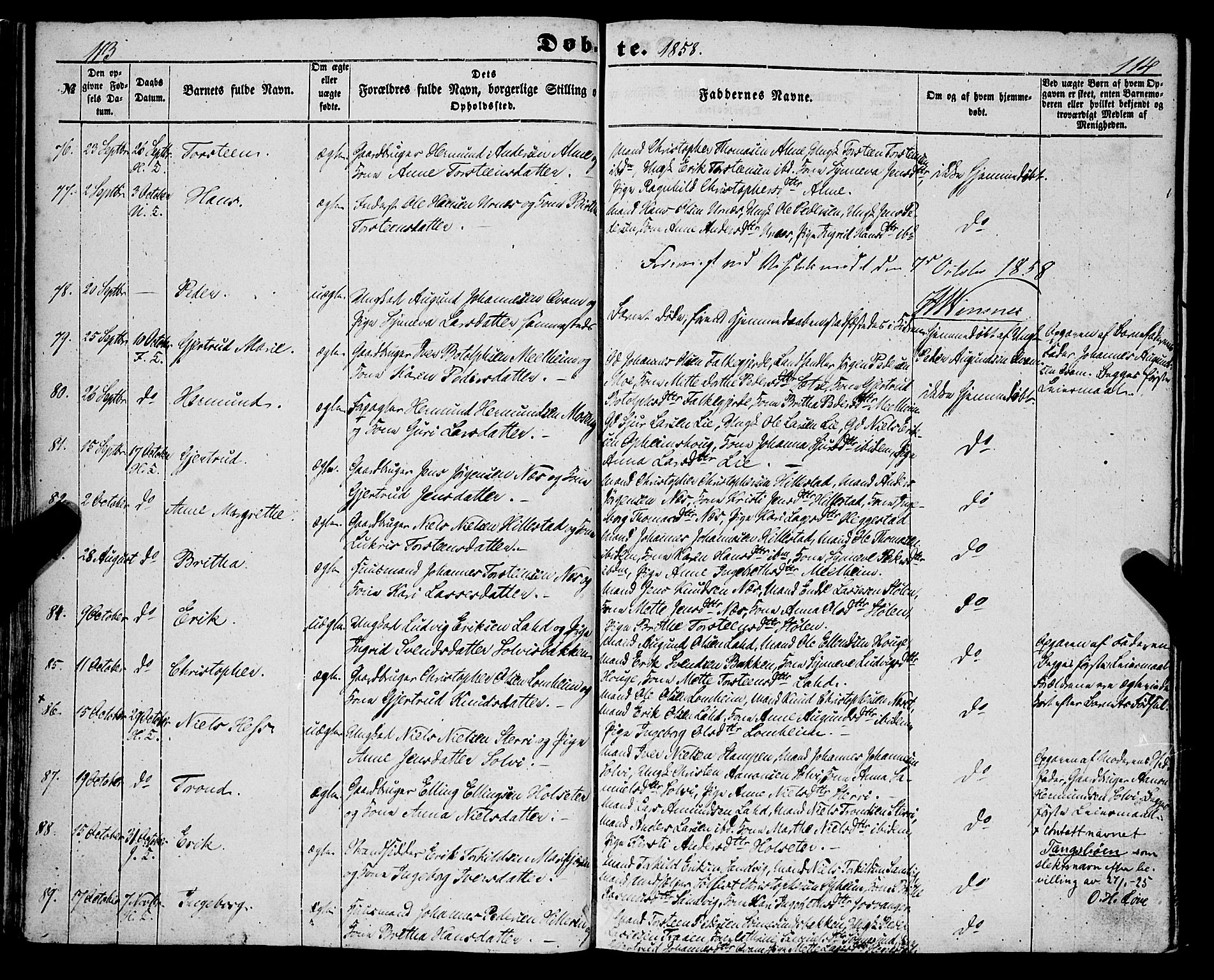 Hafslo sokneprestembete, AV/SAB-A-80301/H/Haa/Haaa/L0009: Parish register (official) no. A 9, 1852-1873, p. 113-114