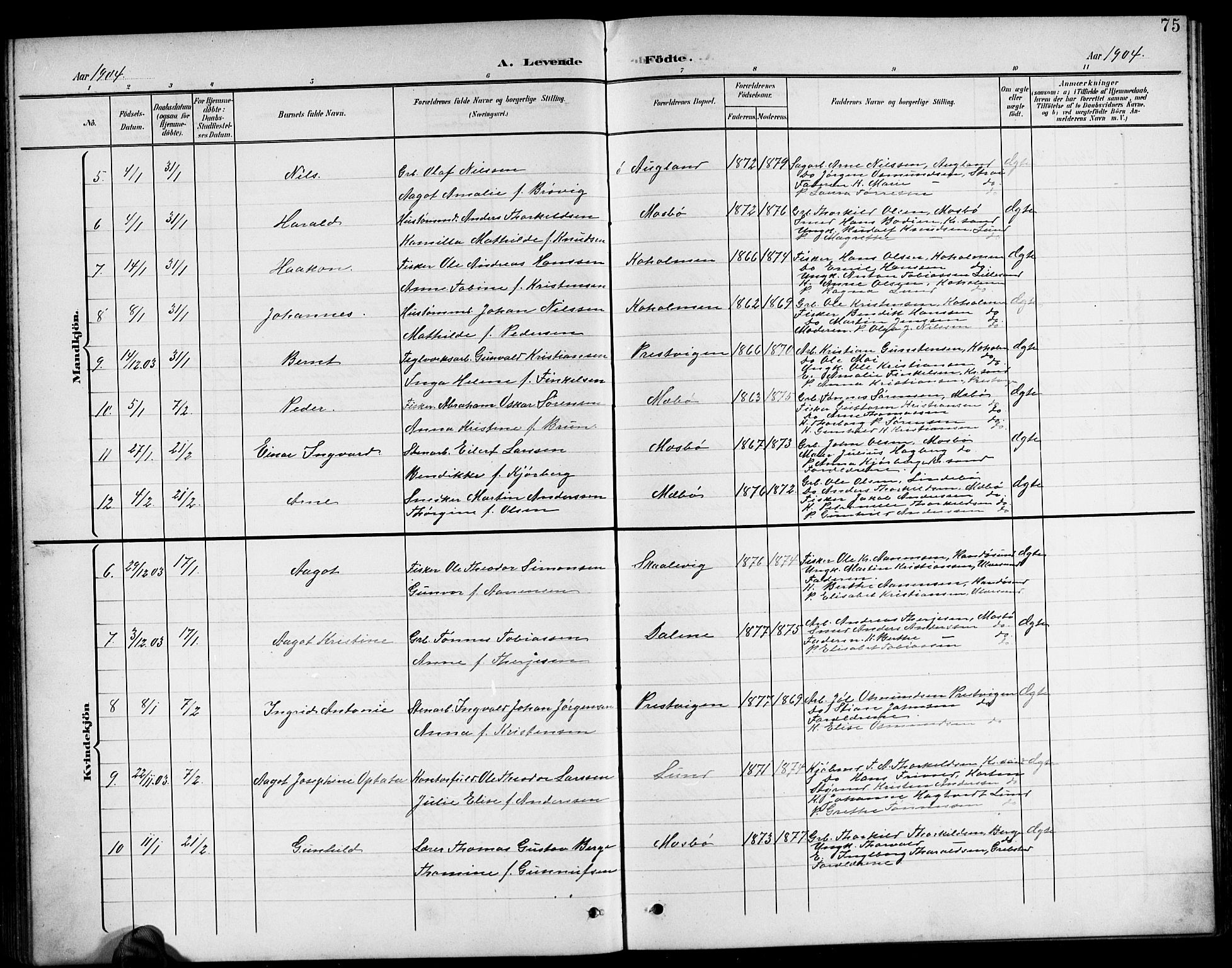 Oddernes sokneprestkontor, AV/SAK-1111-0033/F/Fb/Fba/L0009: Parish register (copy) no. B 9, 1899-1923, p. 75