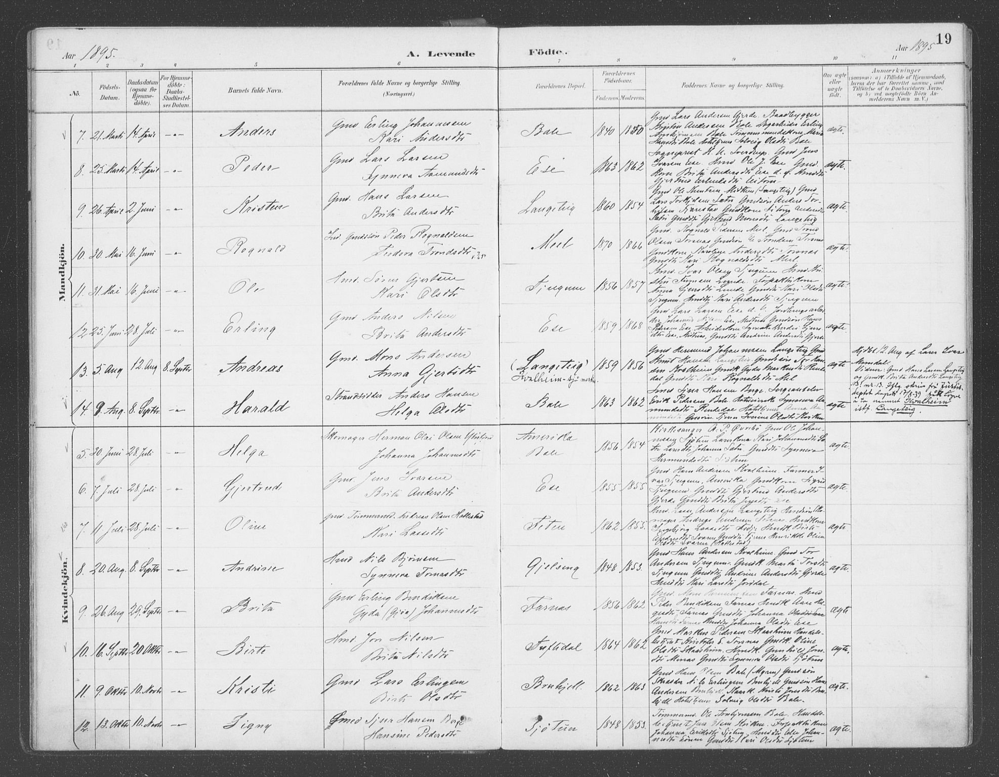 Balestrand sokneprestembete, AV/SAB-A-79601/H/Haa/Haab/L0001: Parish register (official) no. B  1, 1889-1910, p. 19