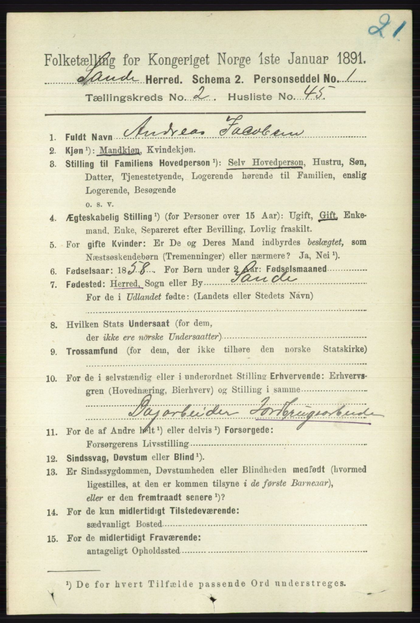 RA, 1891 census for 0713 Sande, 1891, p. 853