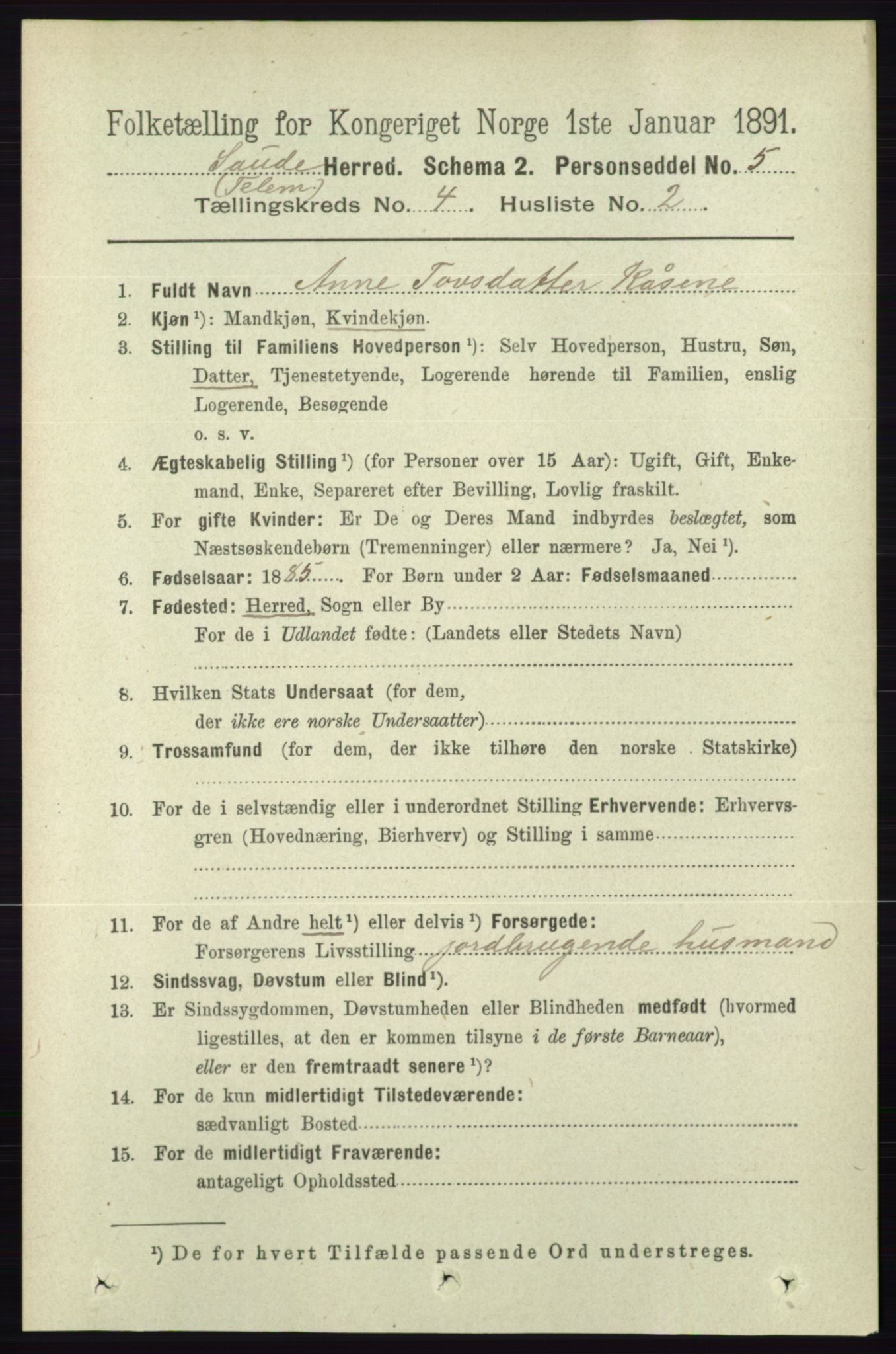 RA, 1891 census for 0822 Sauherad, 1891, p. 1105