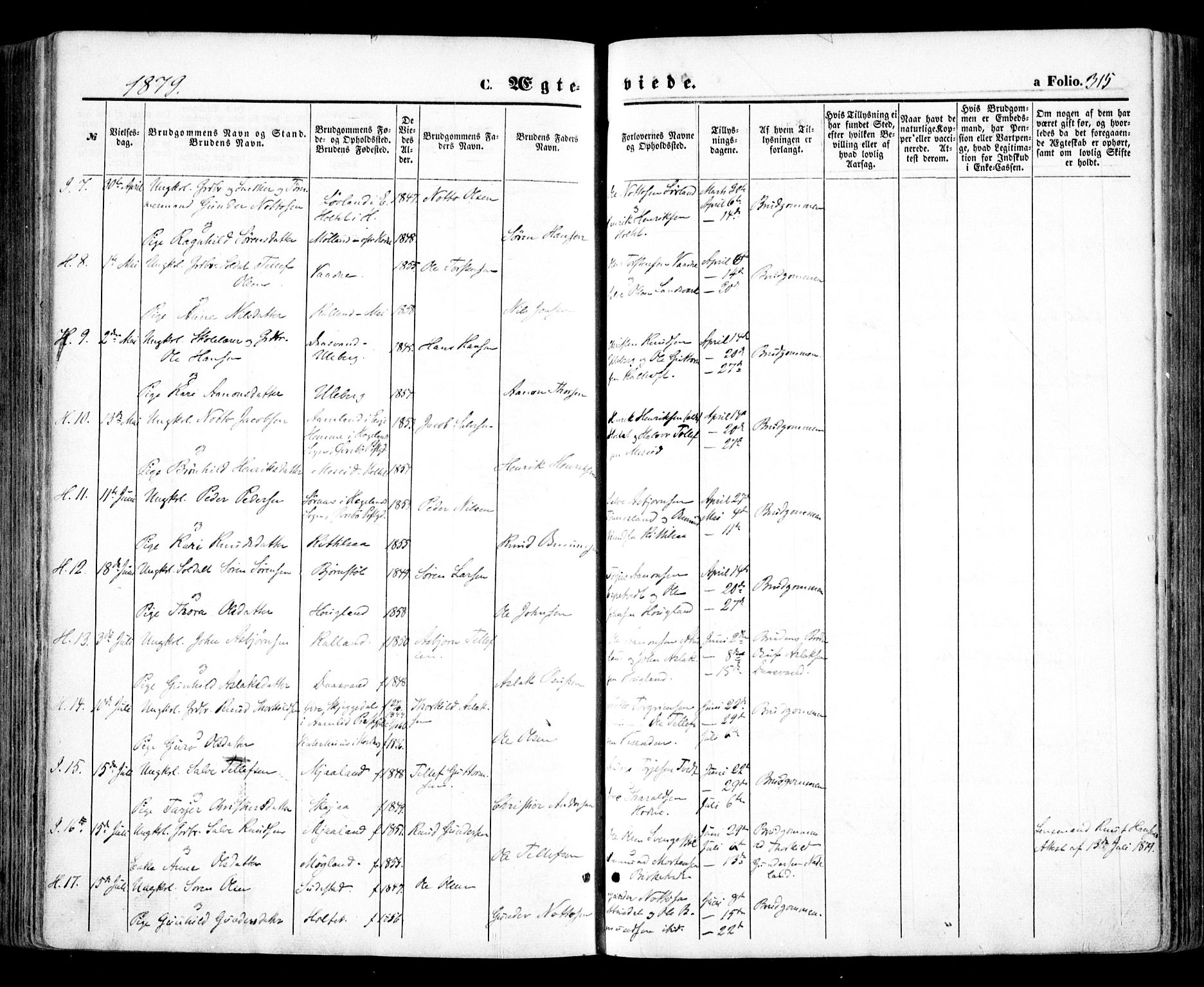 Evje sokneprestkontor, SAK/1111-0008/F/Fa/Faa/L0006: Parish register (official) no. A 6, 1866-1884, p. 315