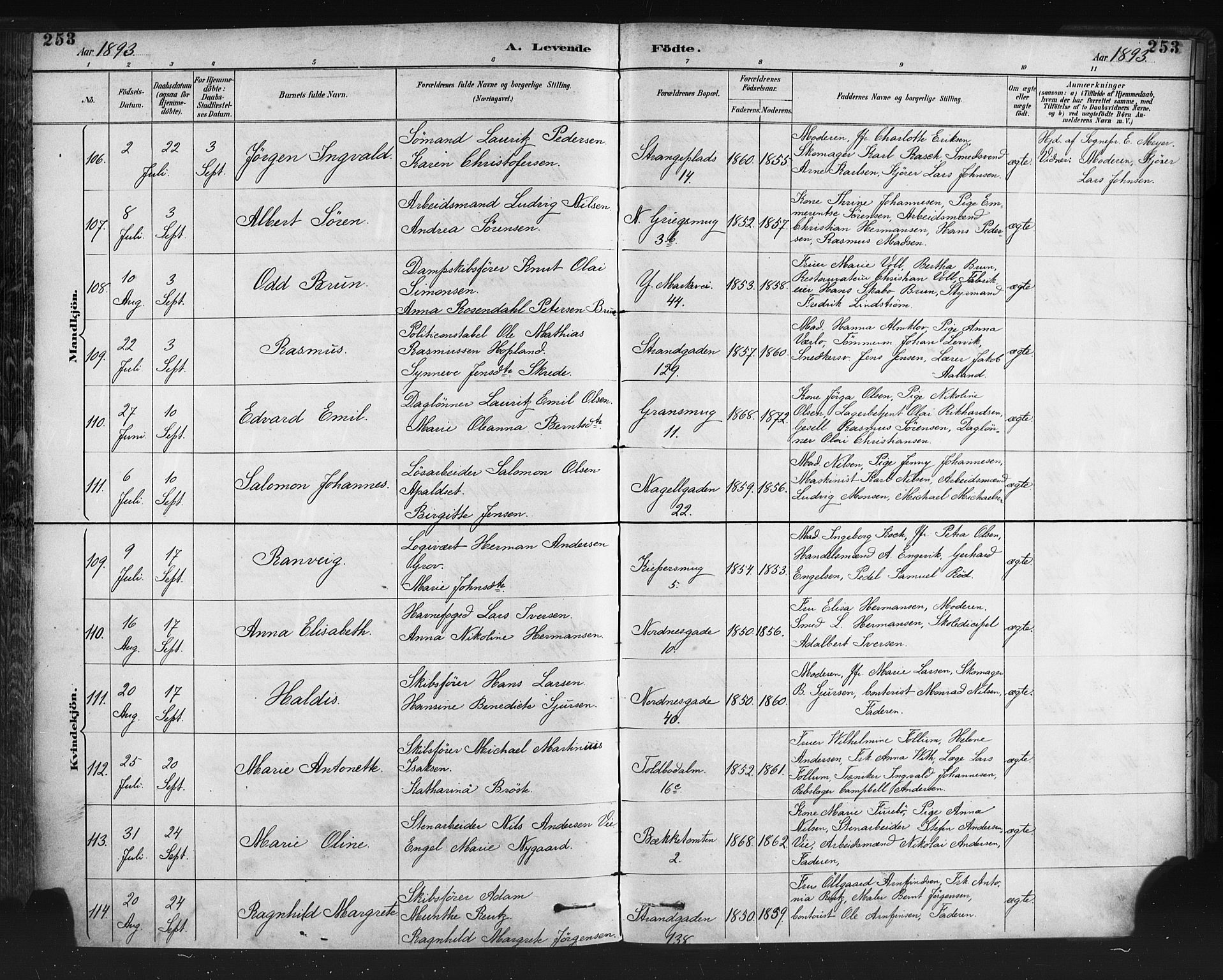 Nykirken Sokneprestembete, AV/SAB-A-77101/H/Haa: Parish register (official) no. B 5, 1885-1894, p. 253