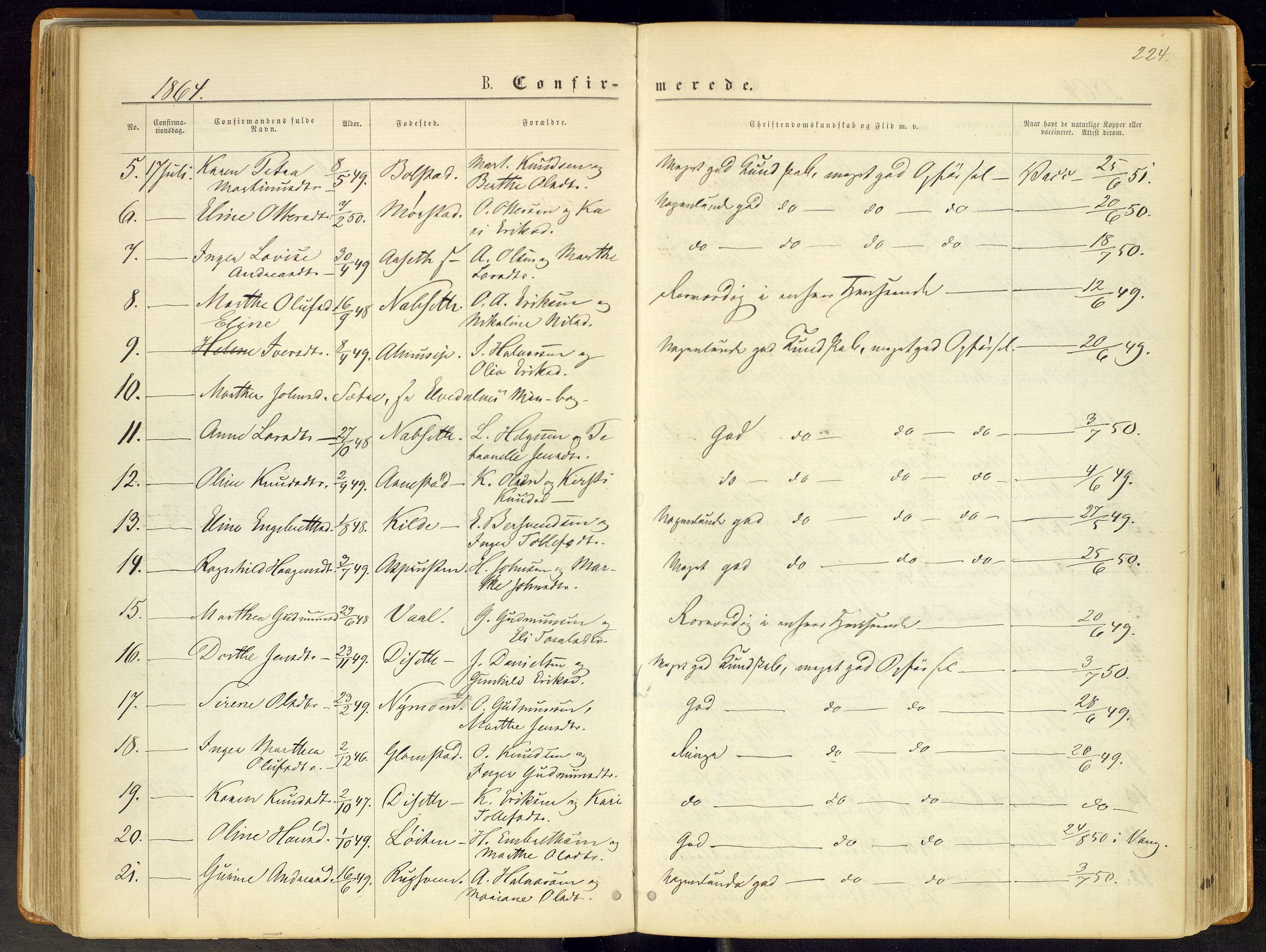 Åmot prestekontor, Hedmark, SAH/PREST-056/H/Ha/Haa/L0008: Parish register (official) no. 8, 1862-1875, p. 224