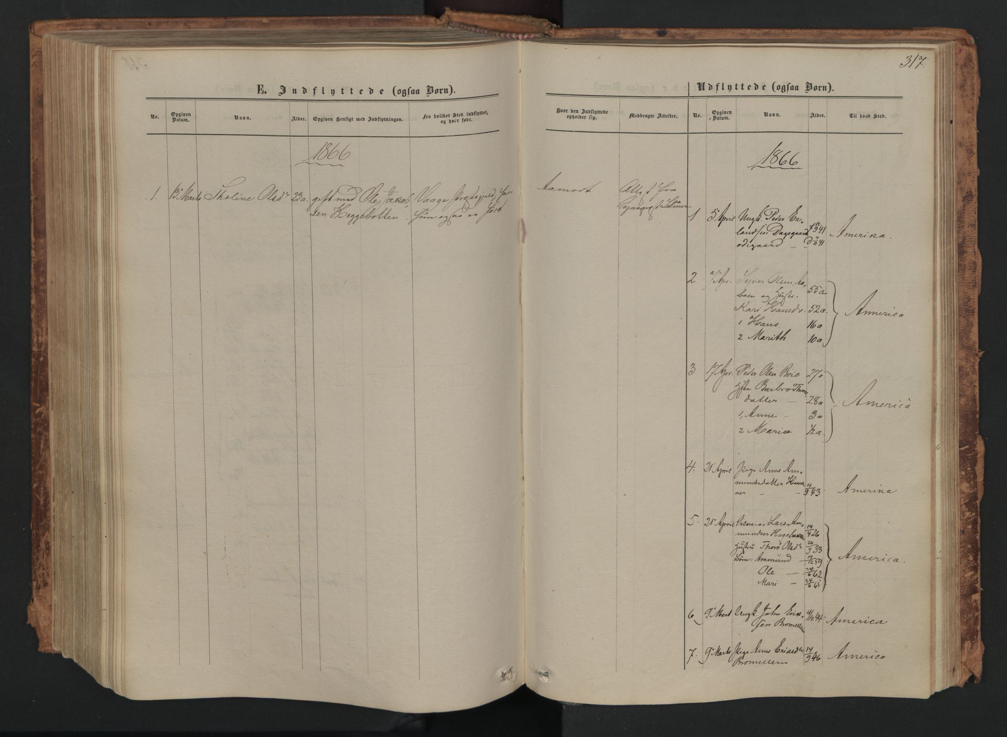 Skjåk prestekontor, SAH/PREST-072/H/Ha/Haa/L0001: Parish register (official) no. 1, 1863-1879, p. 317