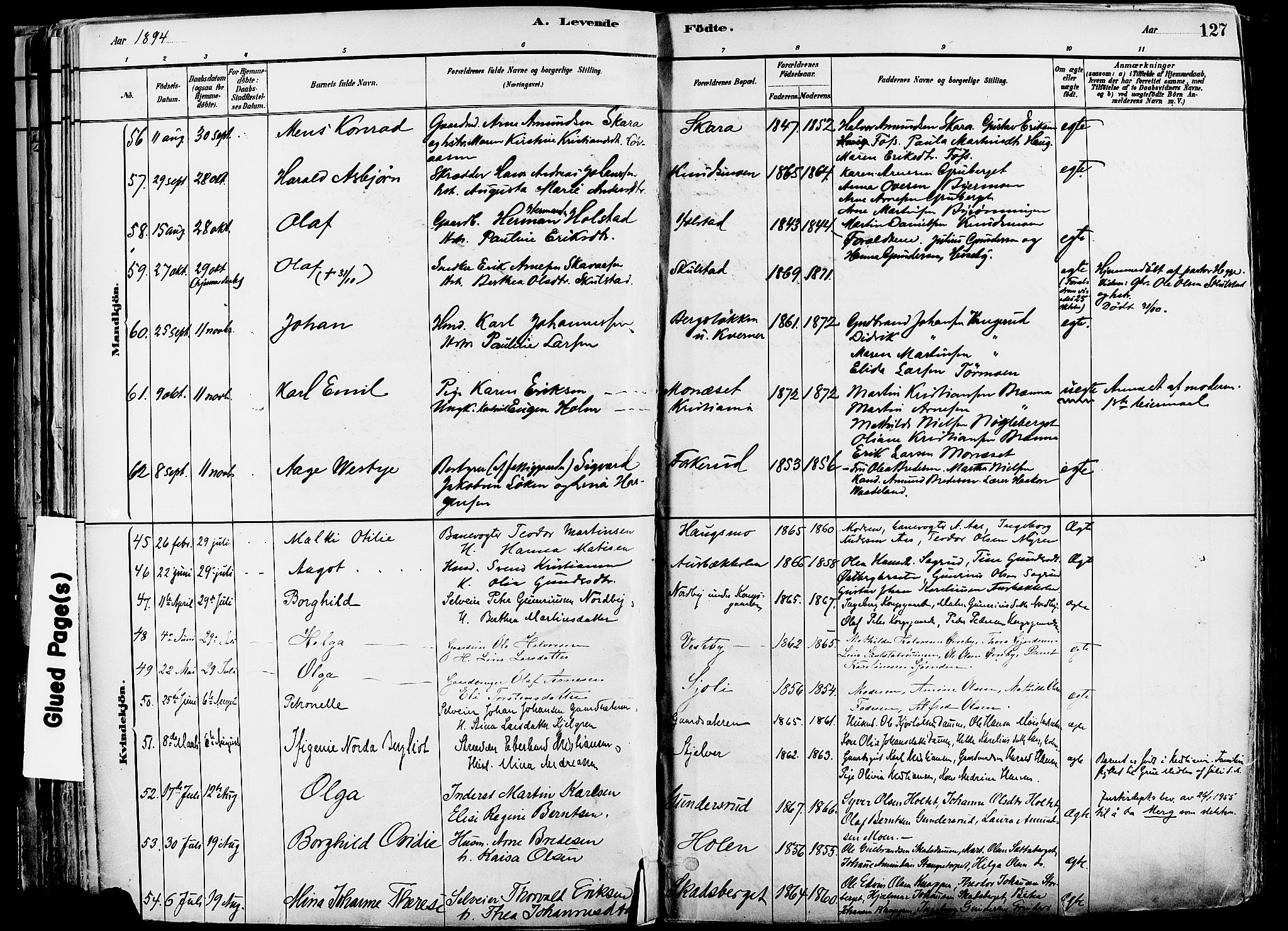 Grue prestekontor, SAH/PREST-036/H/Ha/Haa/L0012: Parish register (official) no. 12, 1881-1897, p. 127