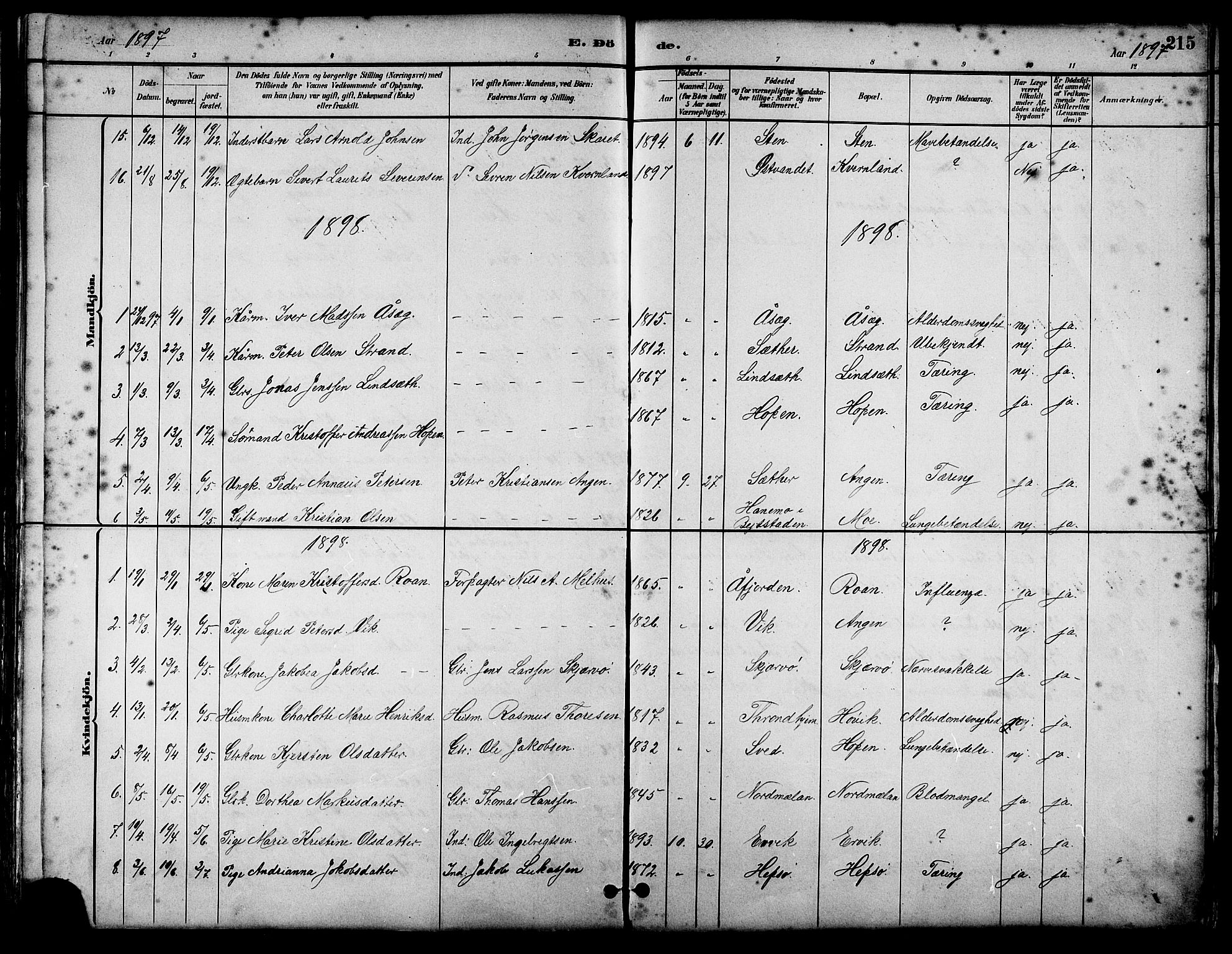Ministerialprotokoller, klokkerbøker og fødselsregistre - Sør-Trøndelag, SAT/A-1456/658/L0726: Parish register (copy) no. 658C02, 1883-1908, p. 215