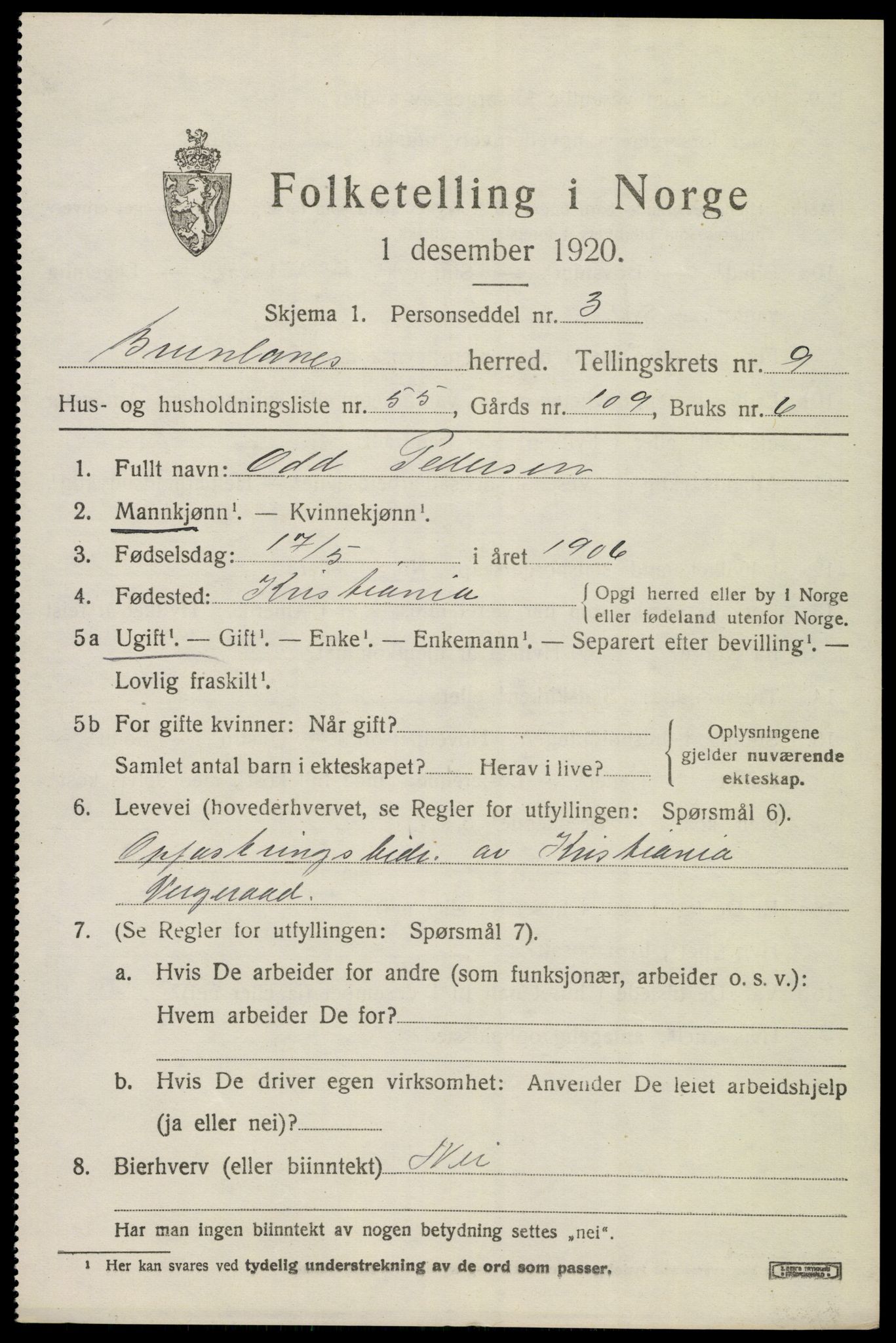 SAKO, 1920 census for Brunlanes, 1920, p. 8369