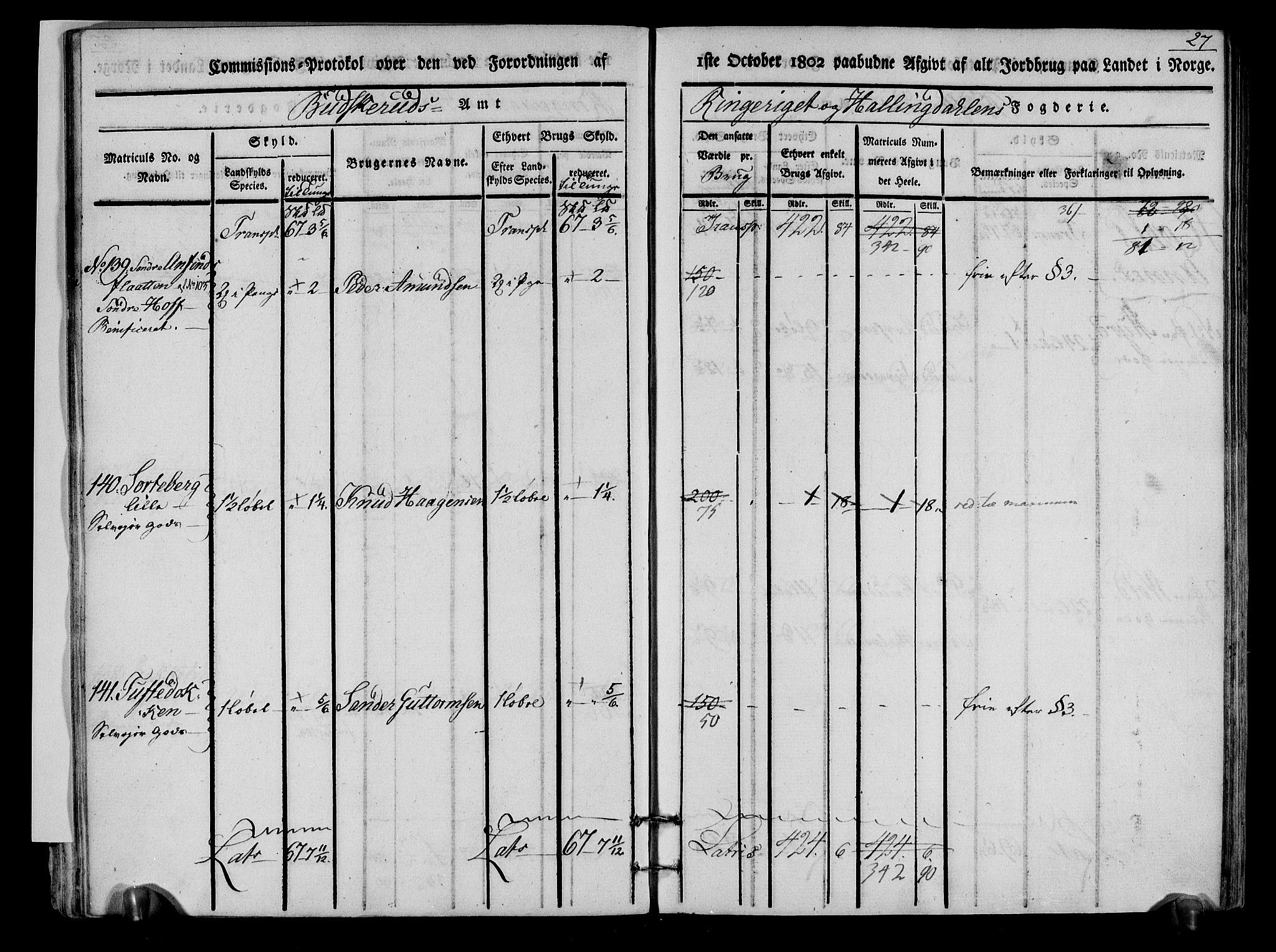 Rentekammeret inntil 1814, Realistisk ordnet avdeling, RA/EA-4070/N/Ne/Nea/L0048: Ringerike og Hallingdal fogderi. Kommisjonsprotokoll for Ål prestegjeld, 1803, p. 30