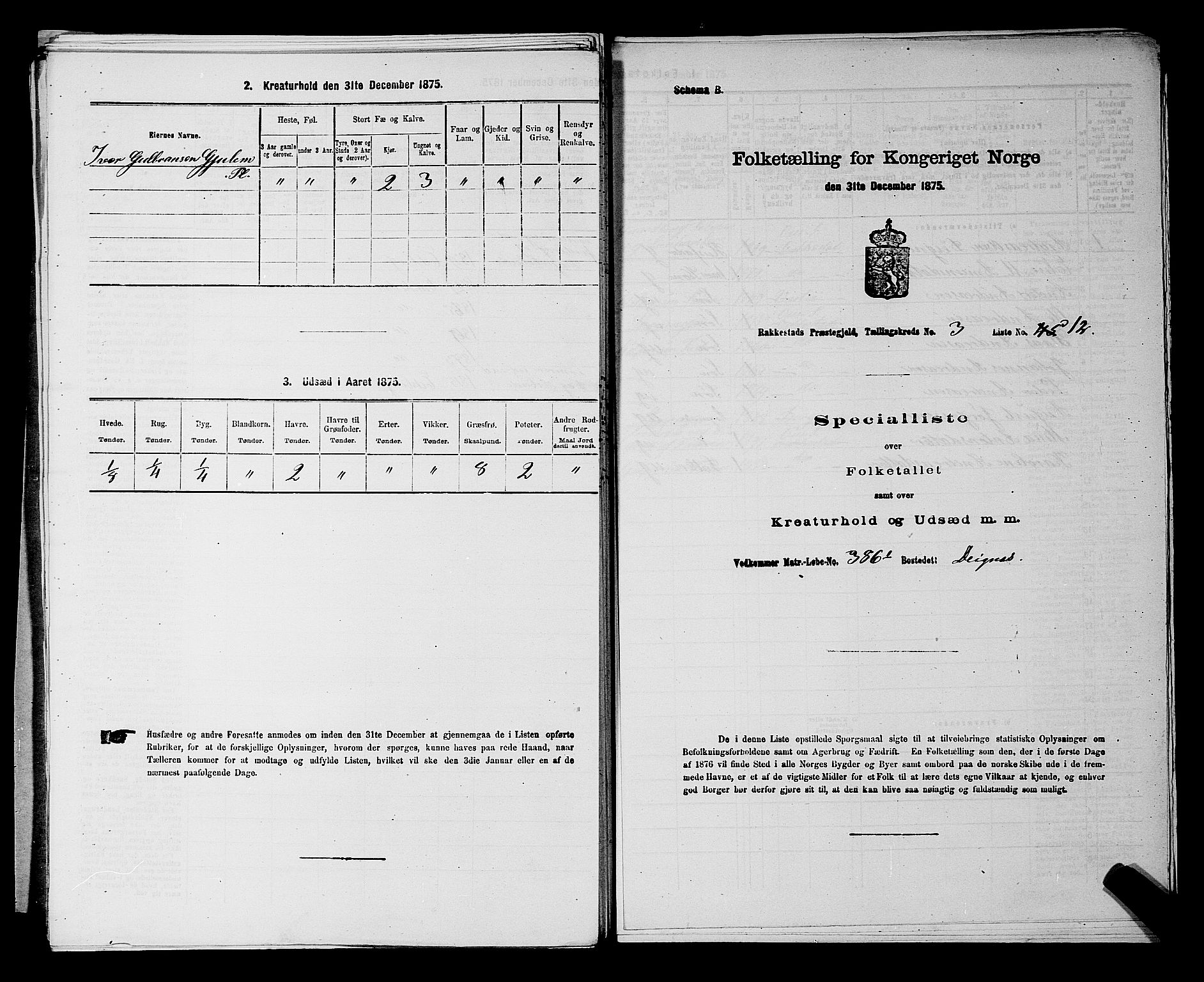 RA, 1875 census for 0128P Rakkestad, 1875, p. 519