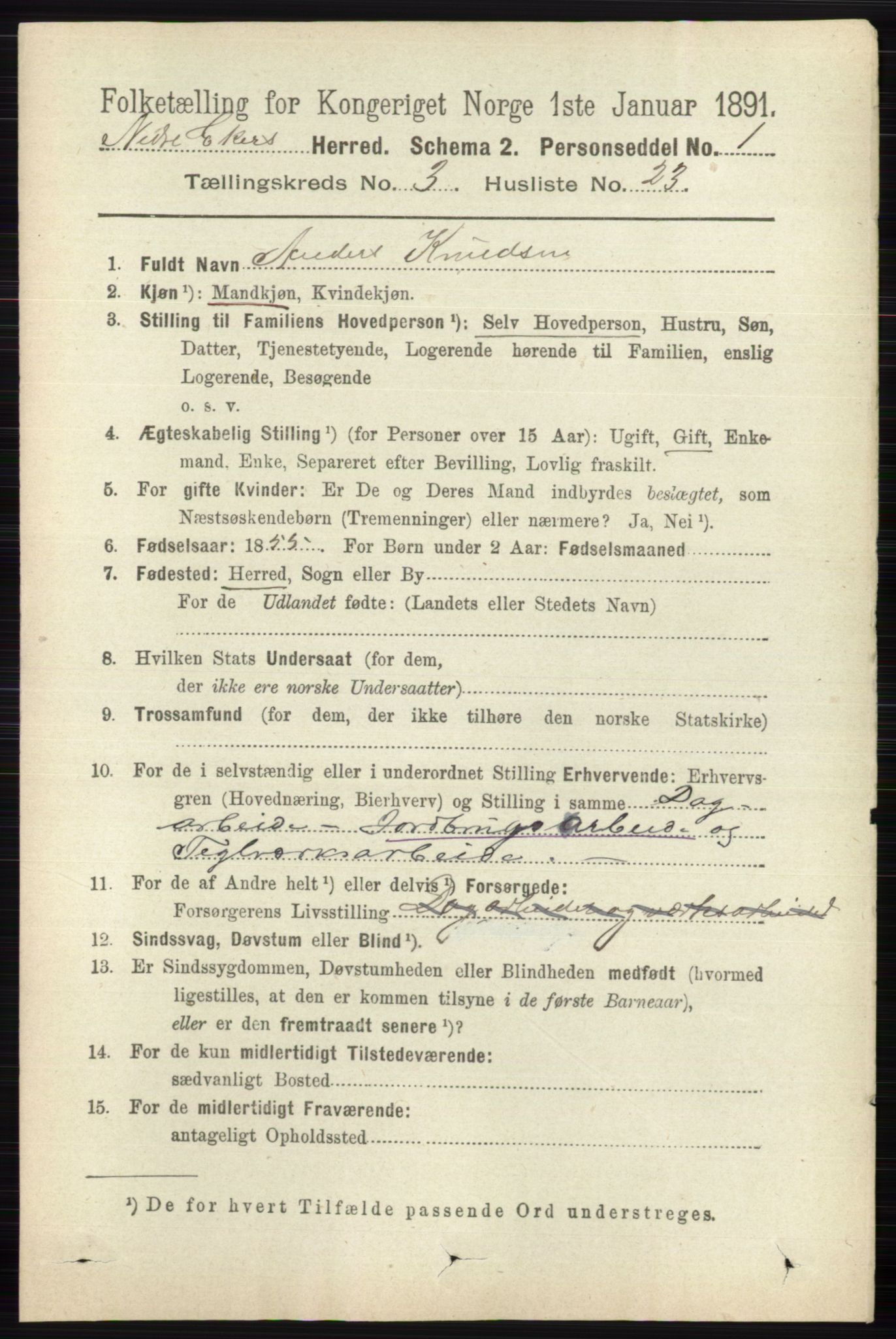 RA, 1891 census for 0625 Nedre Eiker, 1891, p. 1297