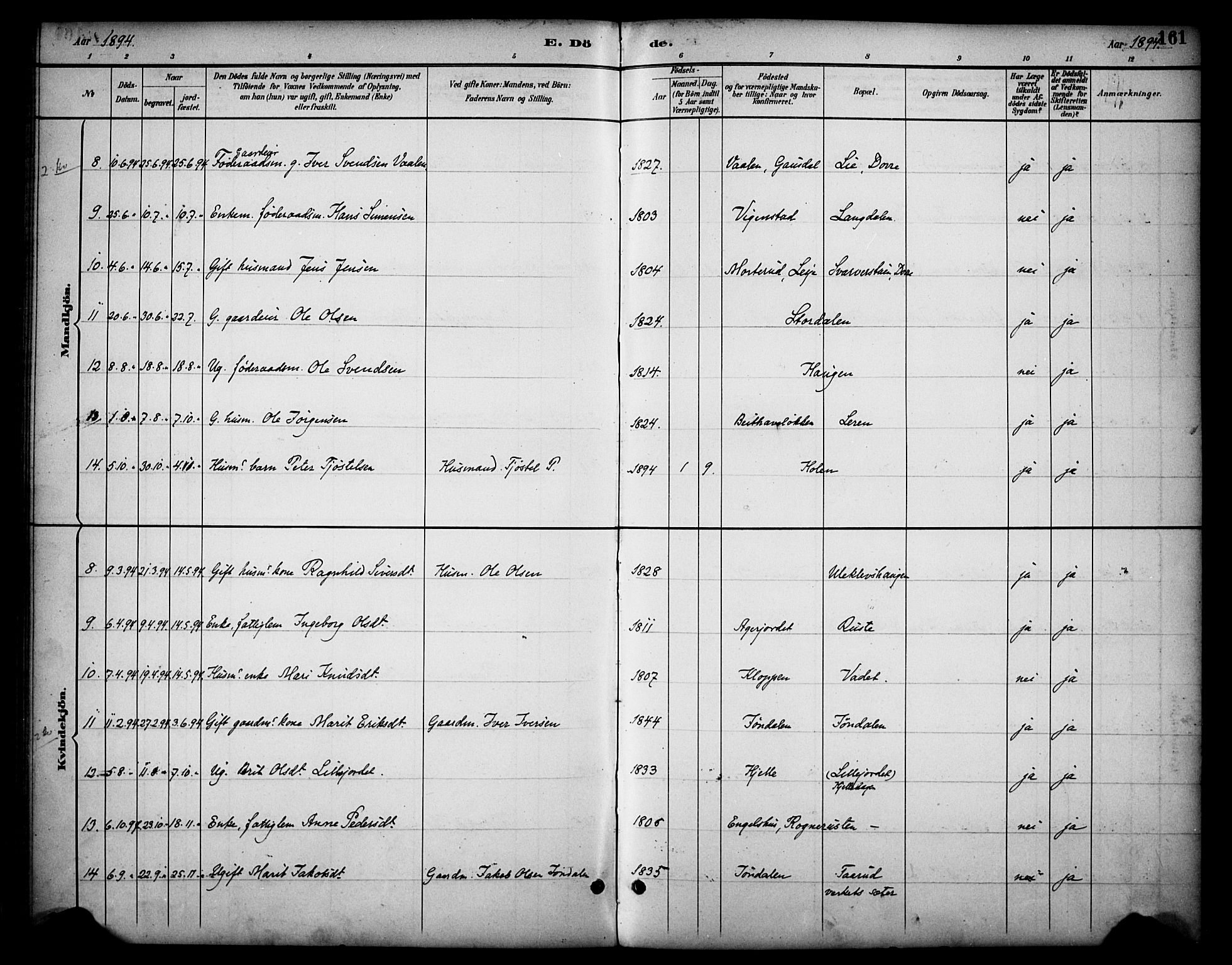 Dovre prestekontor, SAH/PREST-066/H/Ha/Haa/L0003: Parish register (official) no. 3, 1891-1901, p. 161