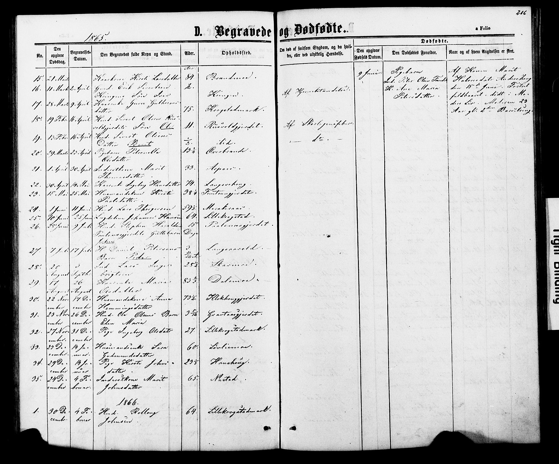 Ministerialprotokoller, klokkerbøker og fødselsregistre - Nord-Trøndelag, AV/SAT-A-1458/706/L0049: Parish register (copy) no. 706C01, 1864-1895, p. 206
