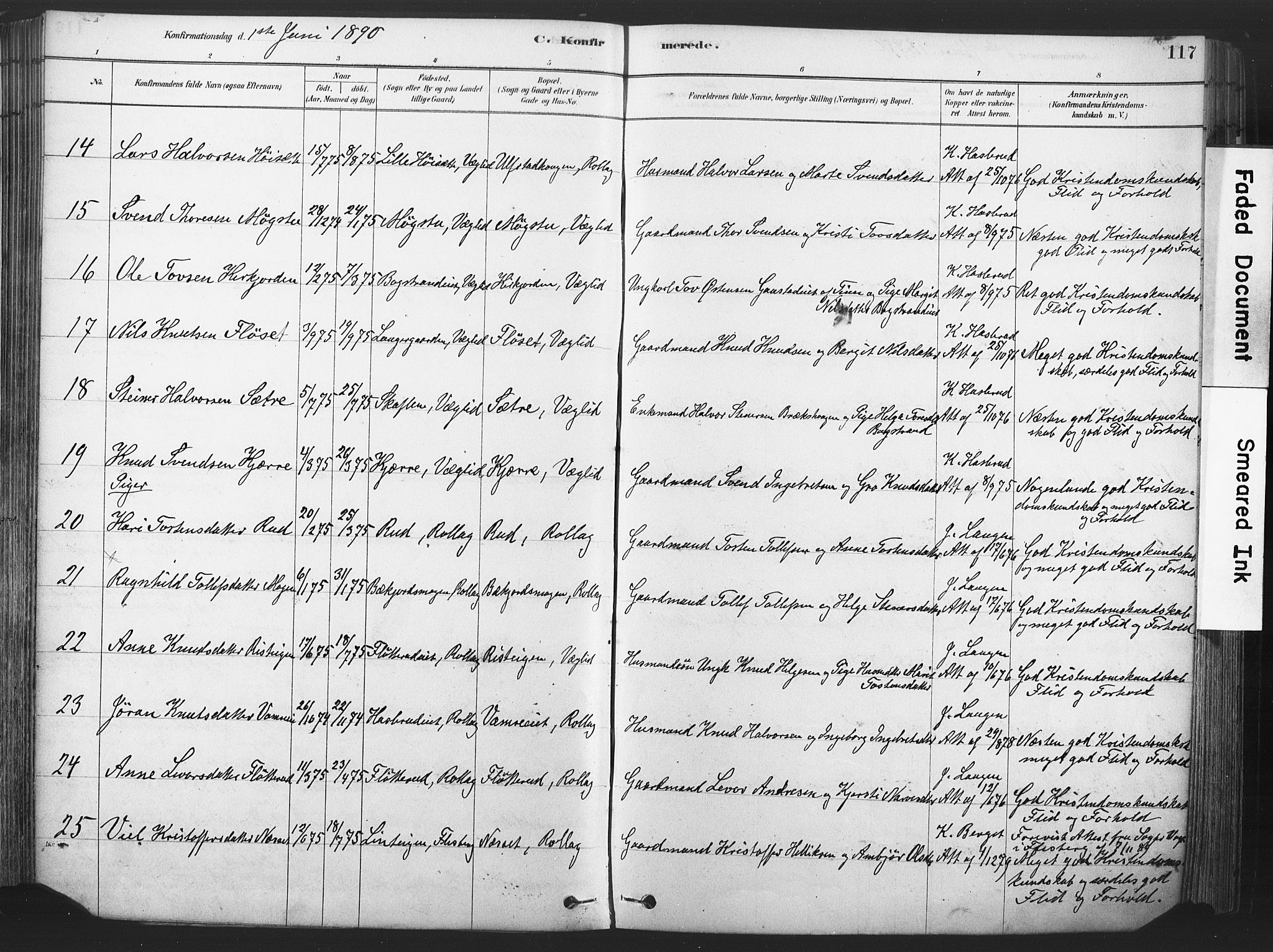 Rollag kirkebøker, AV/SAKO-A-240/F/Fa/L0011: Parish register (official) no. I 11, 1878-1902, p. 117