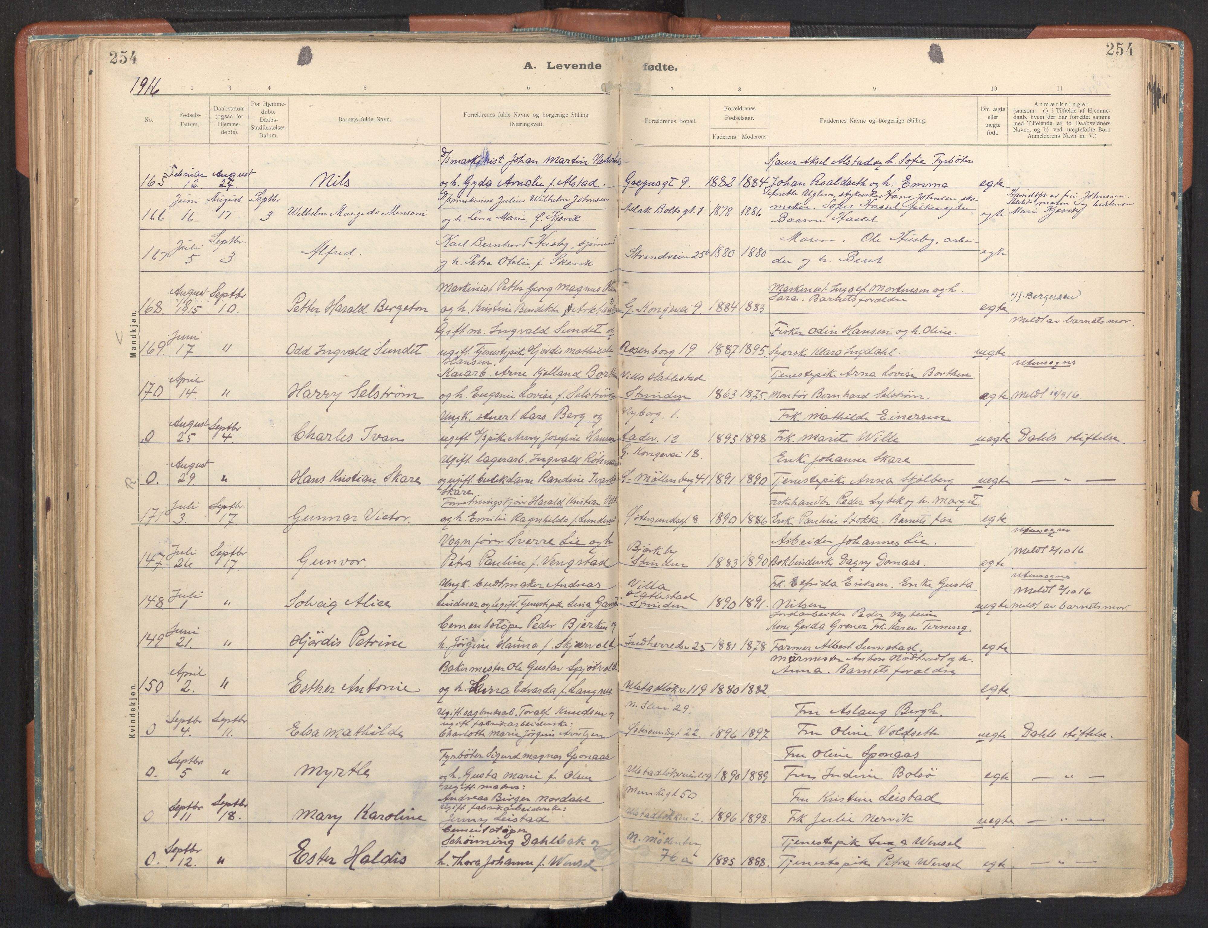 Ministerialprotokoller, klokkerbøker og fødselsregistre - Sør-Trøndelag, AV/SAT-A-1456/605/L0243: Parish register (official) no. 605A05, 1908-1923, p. 254