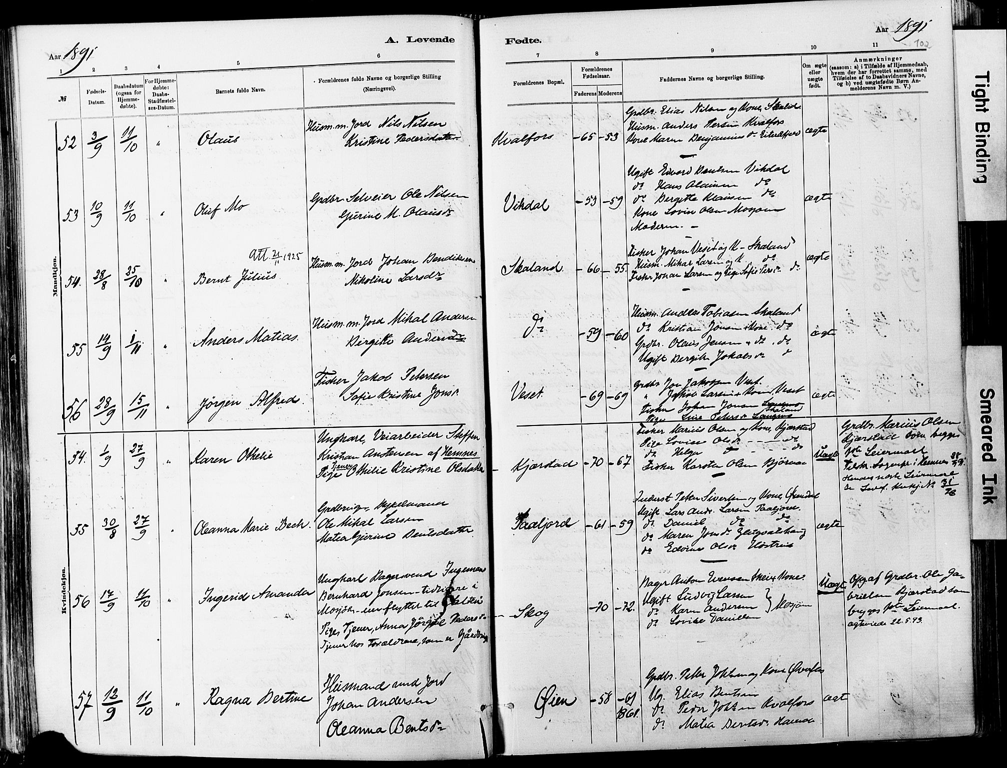 Ministerialprotokoller, klokkerbøker og fødselsregistre - Nordland, AV/SAT-A-1459/820/L0295: Parish register (official) no. 820A16, 1880-1896, p. 102