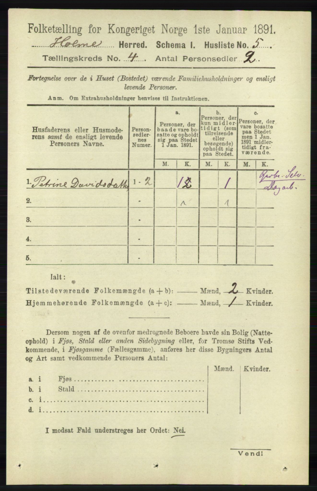 RA, 1891 census for 1020 Holum, 1891, p. 1005