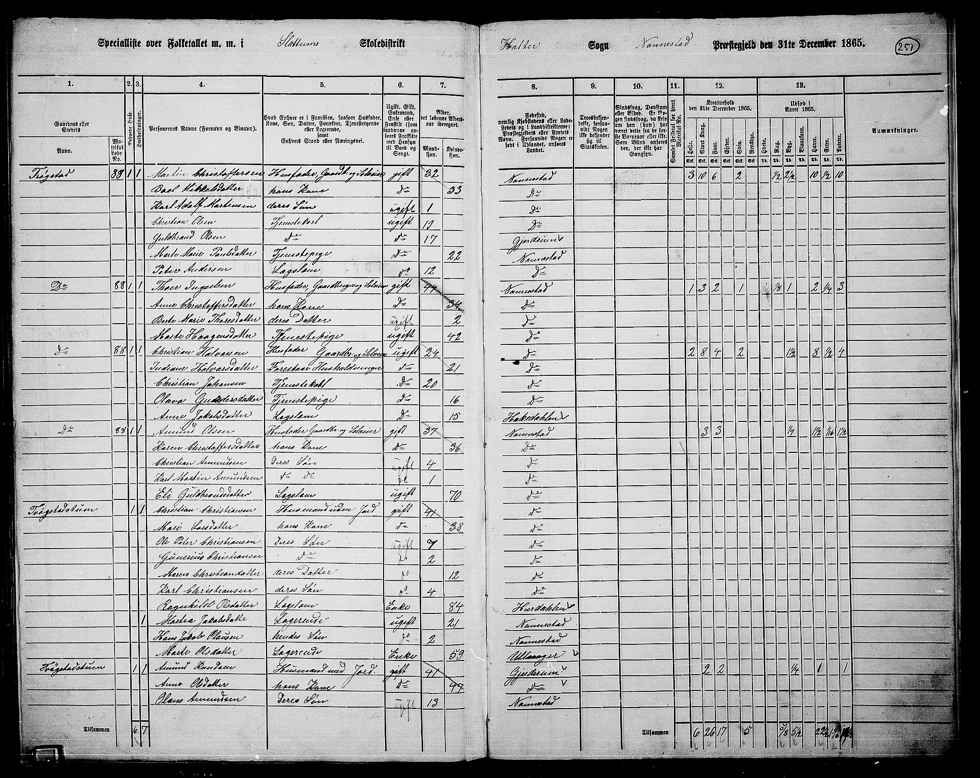 RA, 1865 census for Nannestad, 1865, p. 123