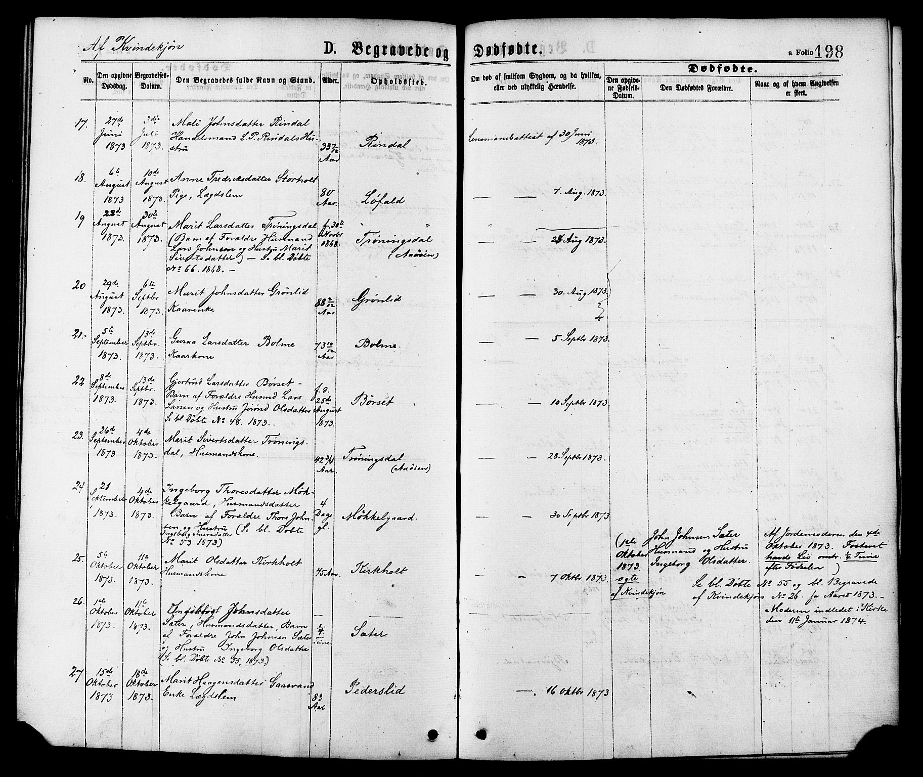 Ministerialprotokoller, klokkerbøker og fødselsregistre - Møre og Romsdal, AV/SAT-A-1454/598/L1068: Parish register (official) no. 598A02, 1872-1881, p. 198