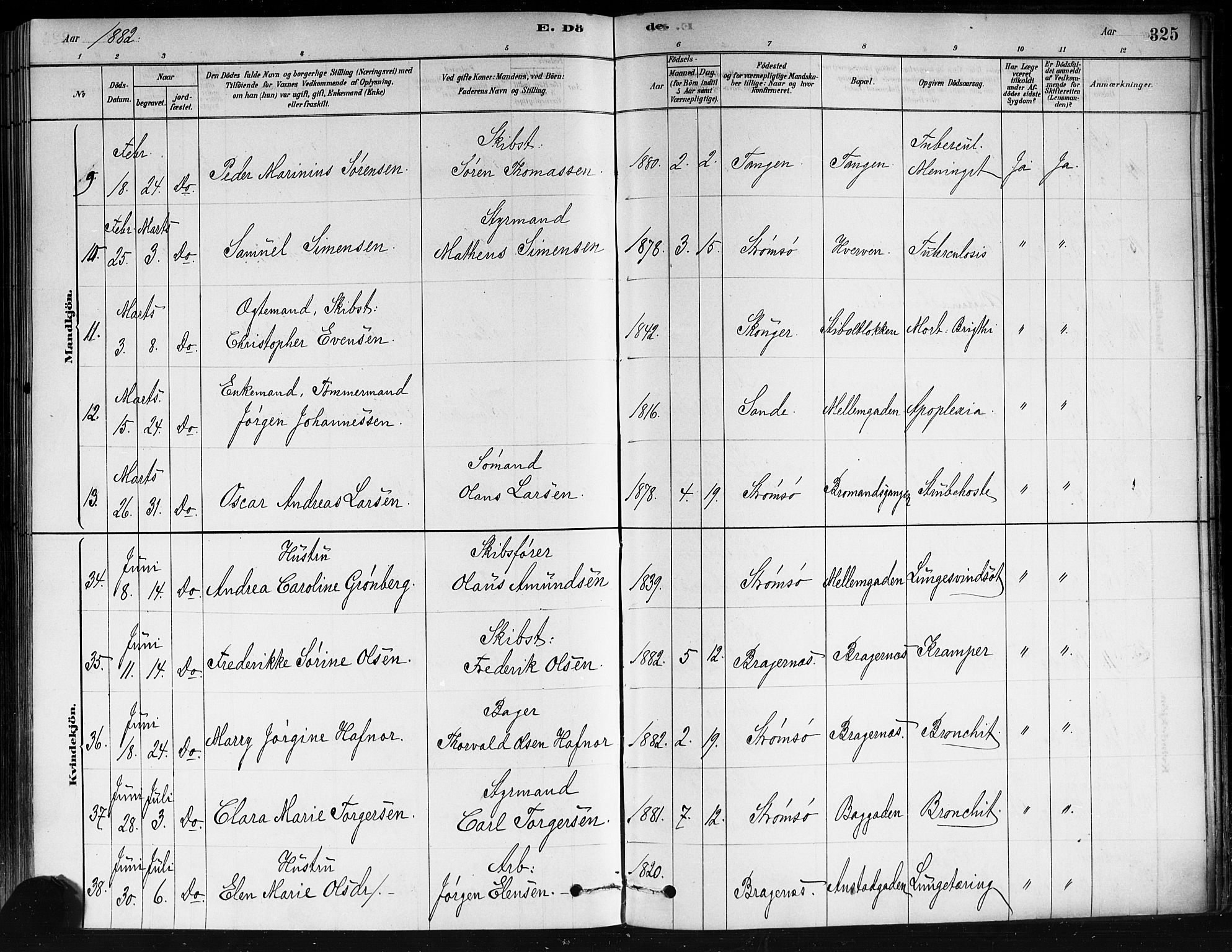 Strømsø kirkebøker, AV/SAKO-A-246/F/Fa/L0021: Parish register (official) no. I 21, 1878-1885, p. 325