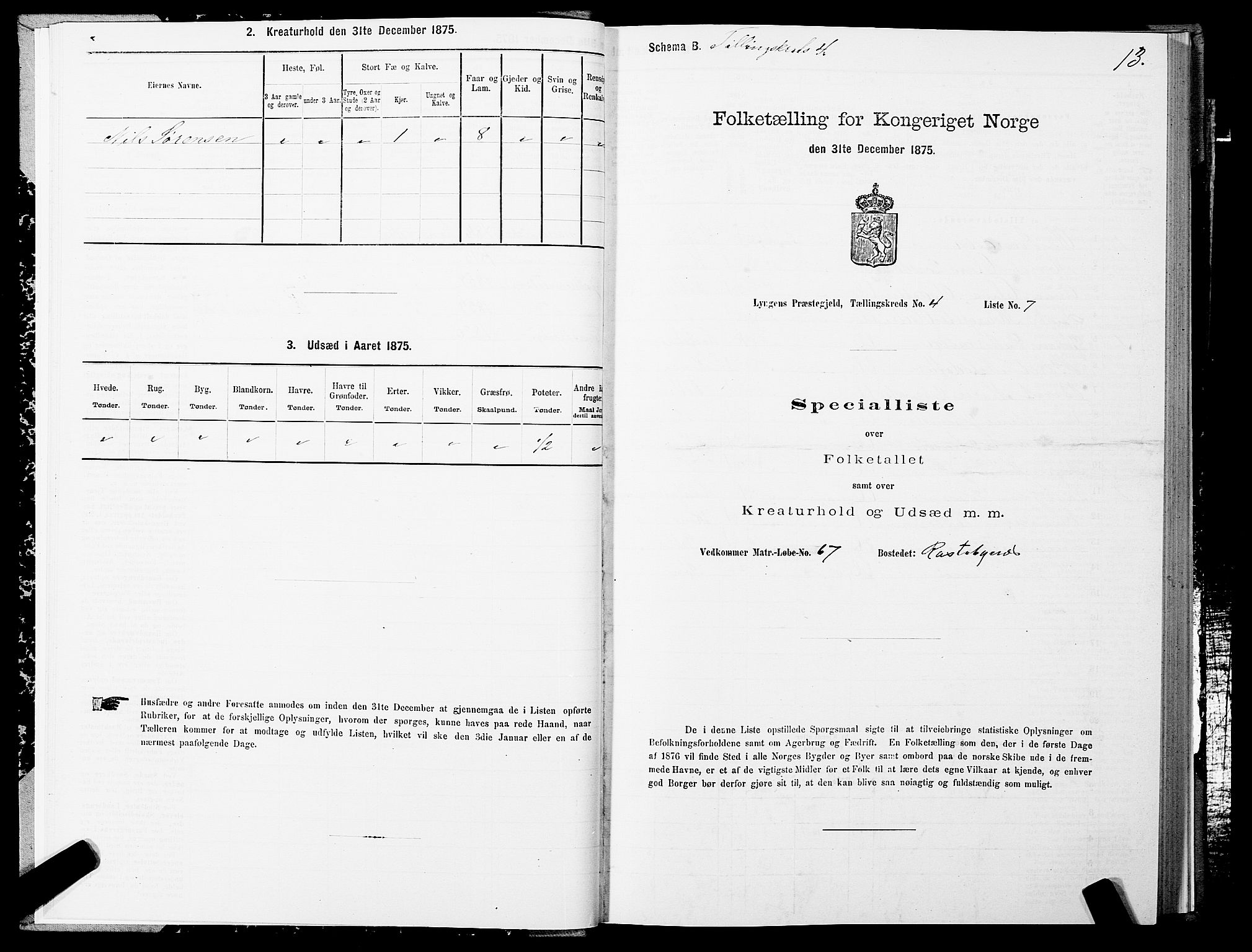 SATØ, 1875 census for 1938P Lyngen, 1875, p. 4013