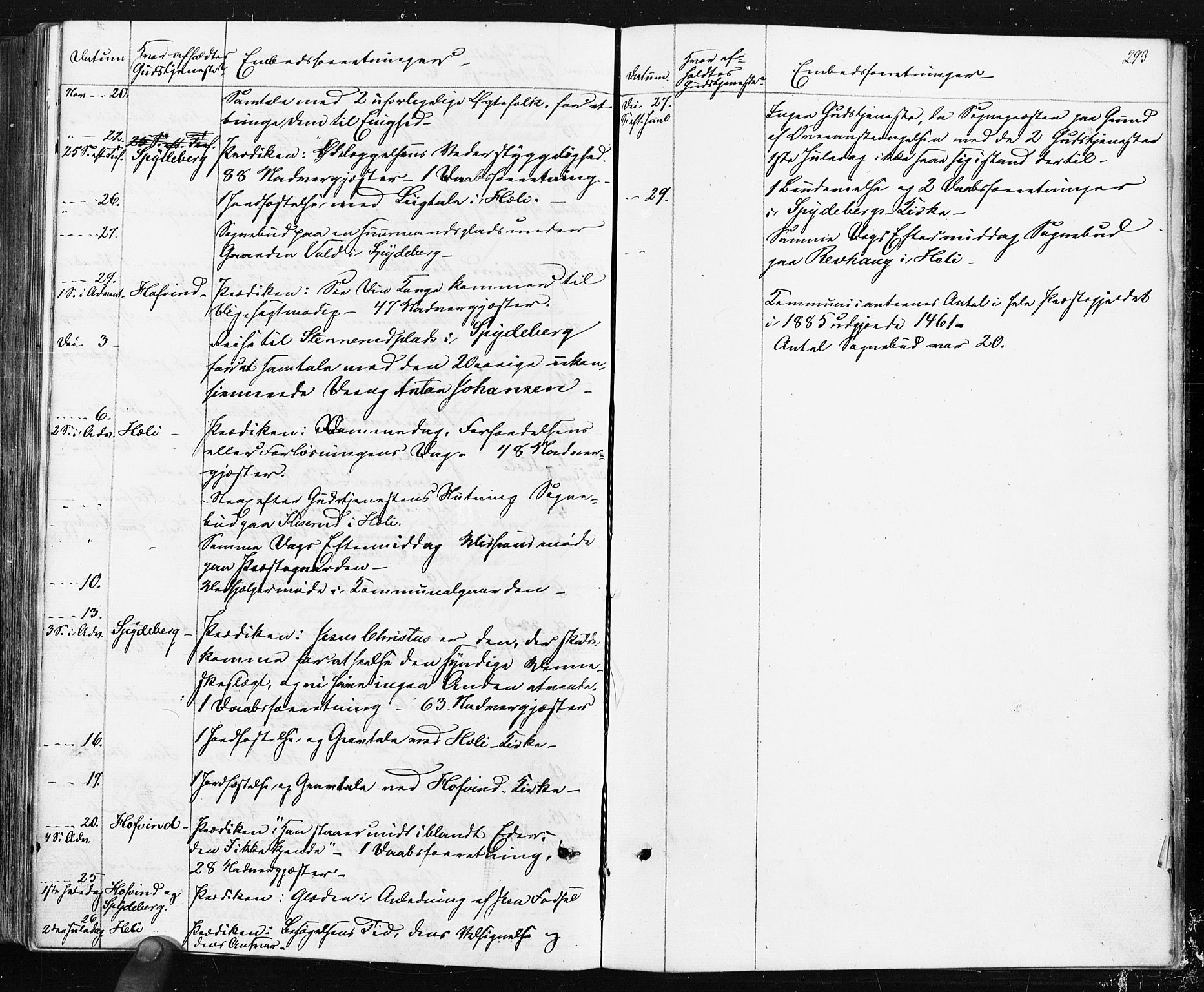 Spydeberg prestekontor Kirkebøker, AV/SAO-A-10924/F/Fa/L0007: Parish register (official) no. I 7, 1875-1885, p. 293