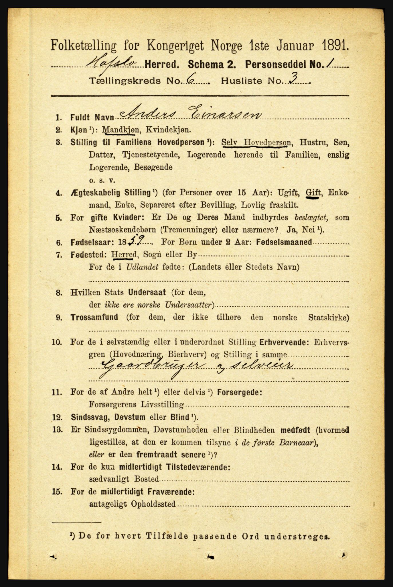 RA, 1891 census for 1425 Hafslo, 1891, p. 2342