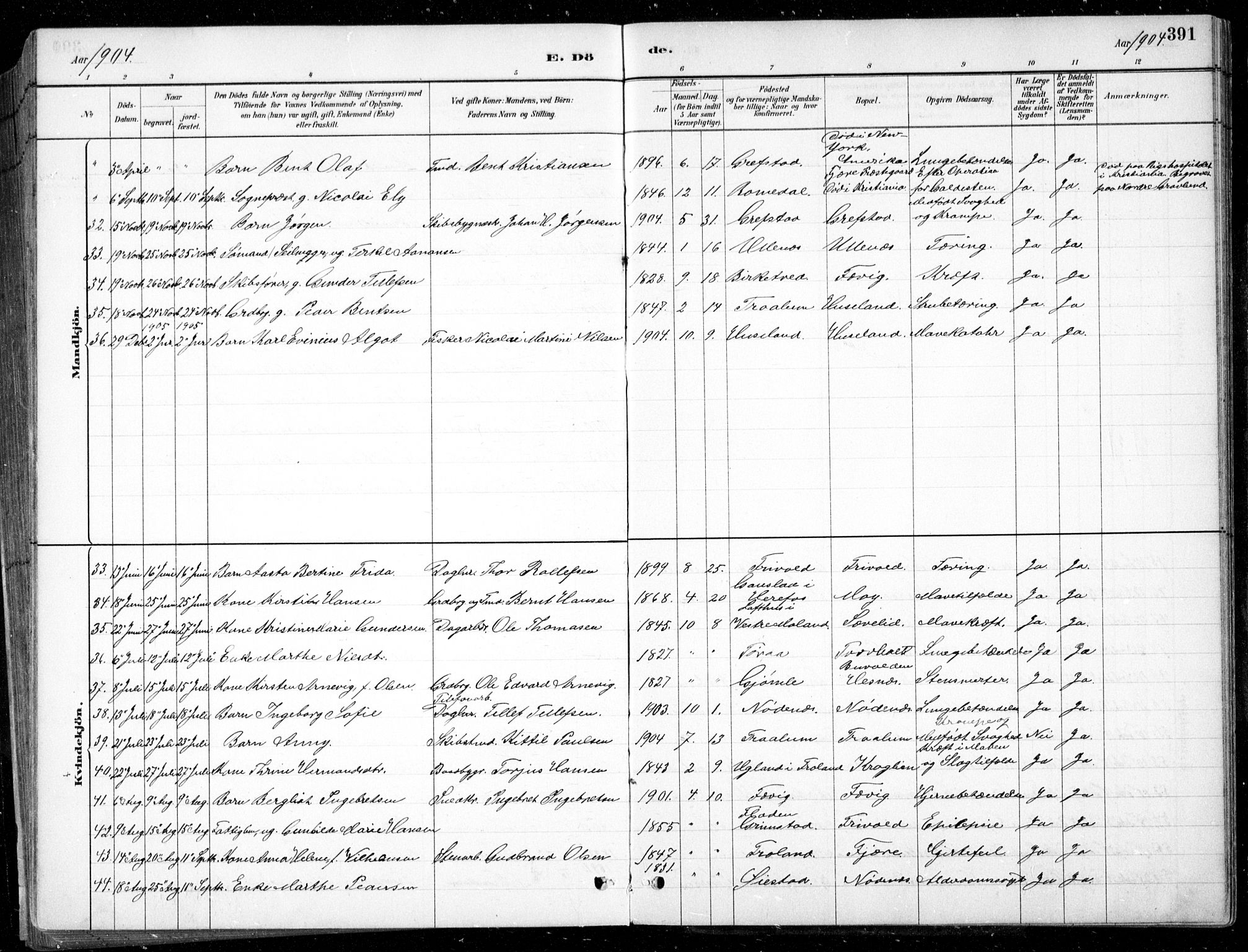 Fjære sokneprestkontor, AV/SAK-1111-0011/F/Fb/L0011: Parish register (copy) no. B 11, 1881-1905, p. 391