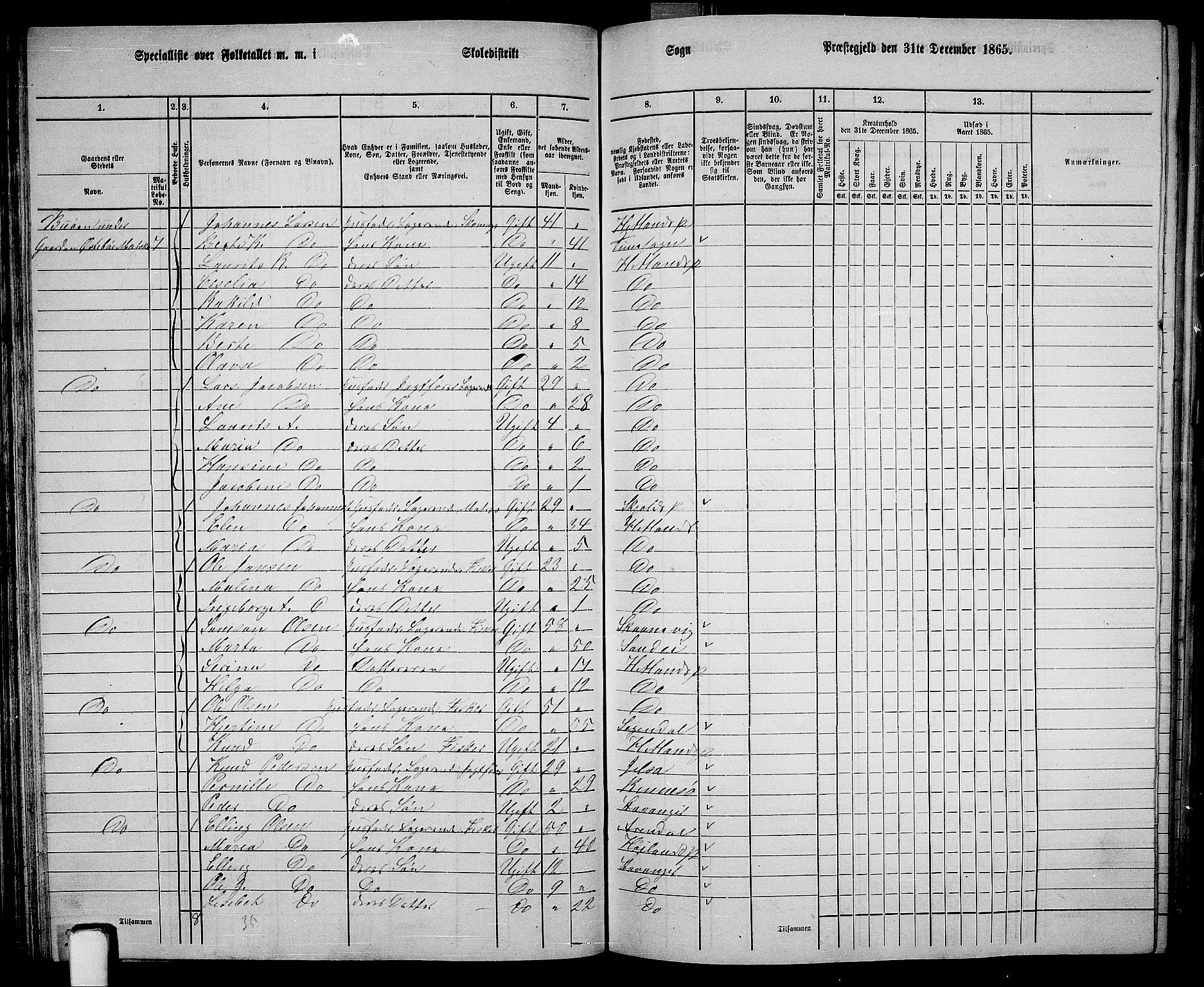 RA, 1865 census for Hetland, 1865, p. 59