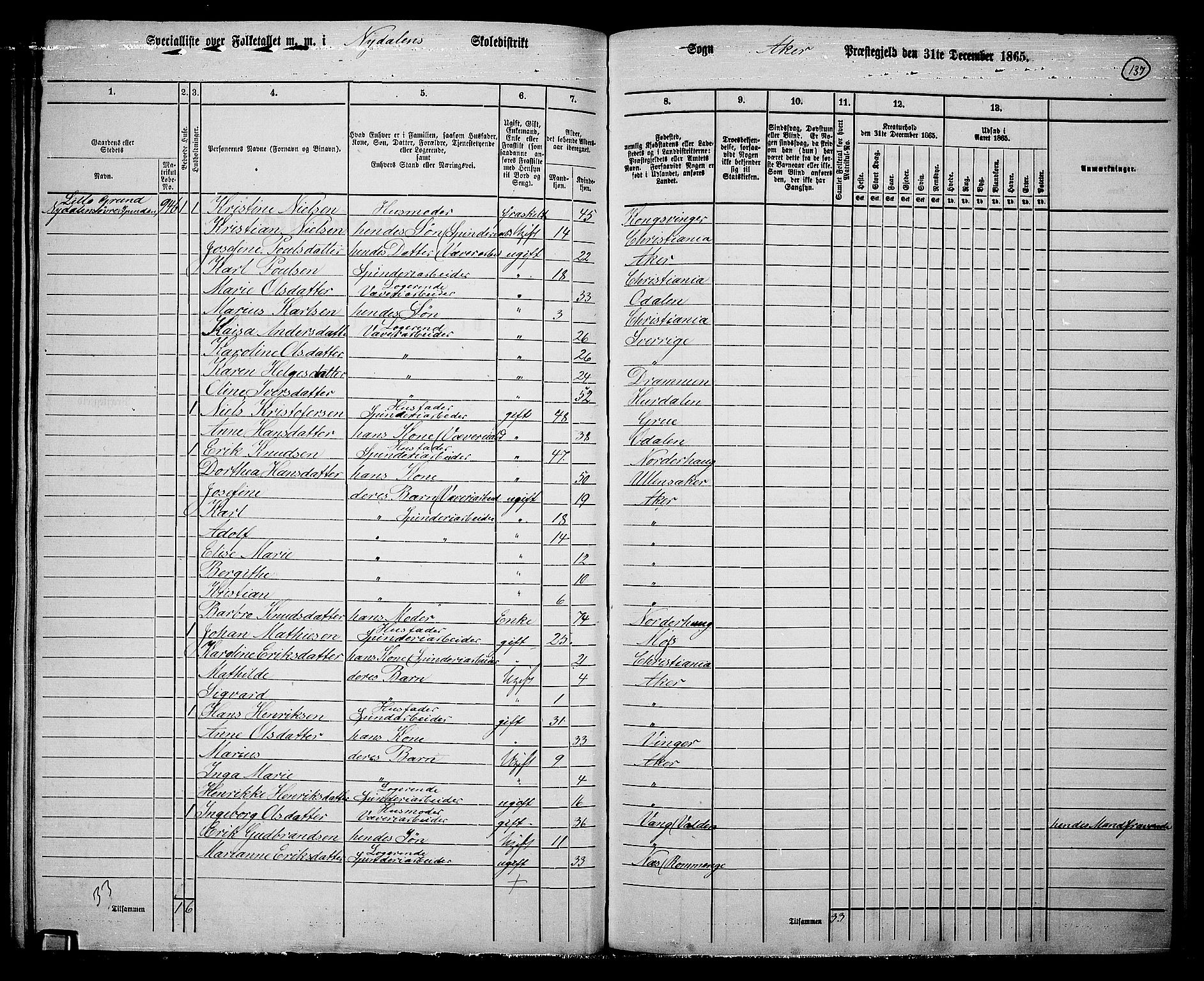 RA, 1865 census for Vestre Aker, 1865, p. 120