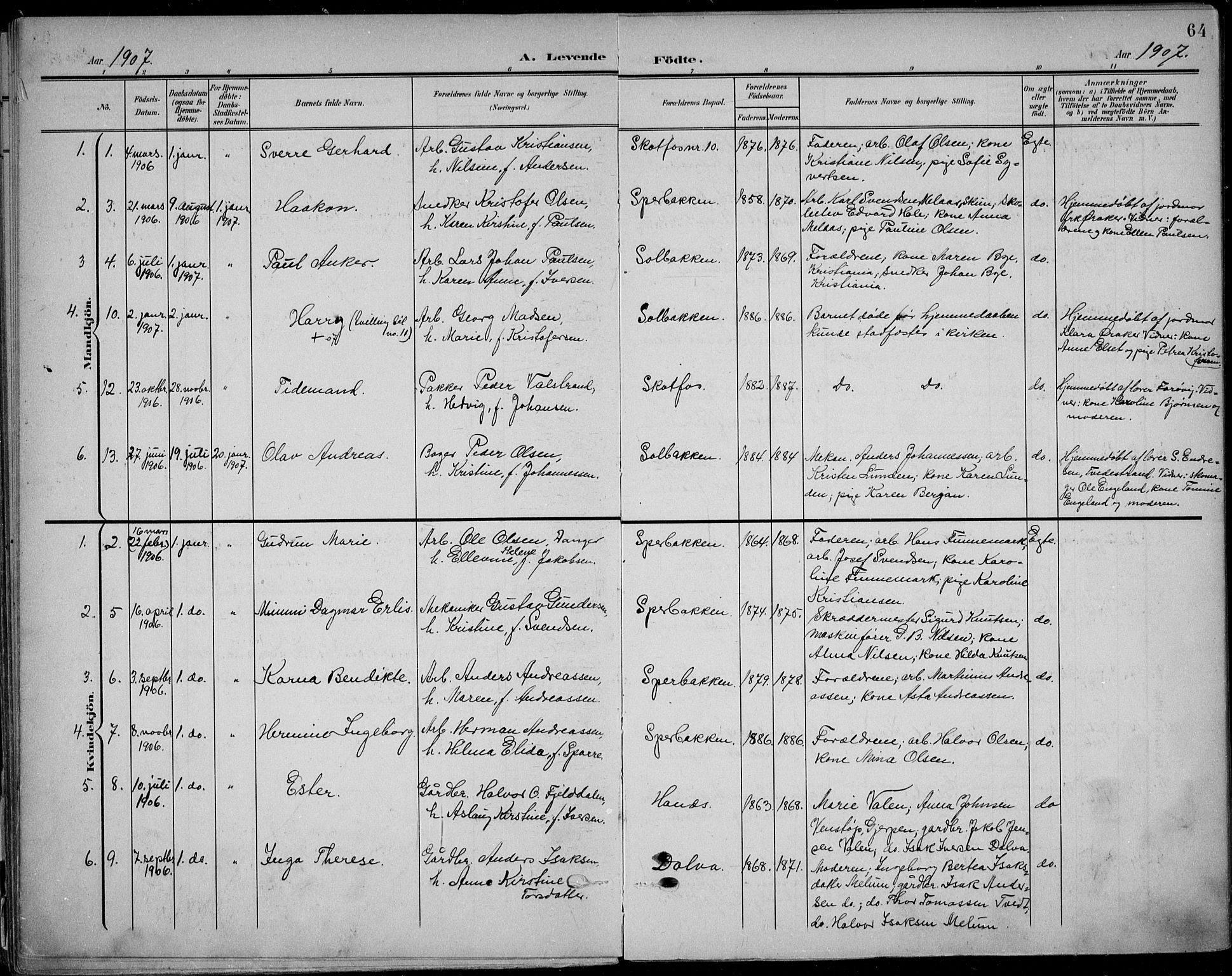 Solum kirkebøker, AV/SAKO-A-306/F/Fb/L0003: Parish register (official) no. II 3, 1901-1912, p. 64